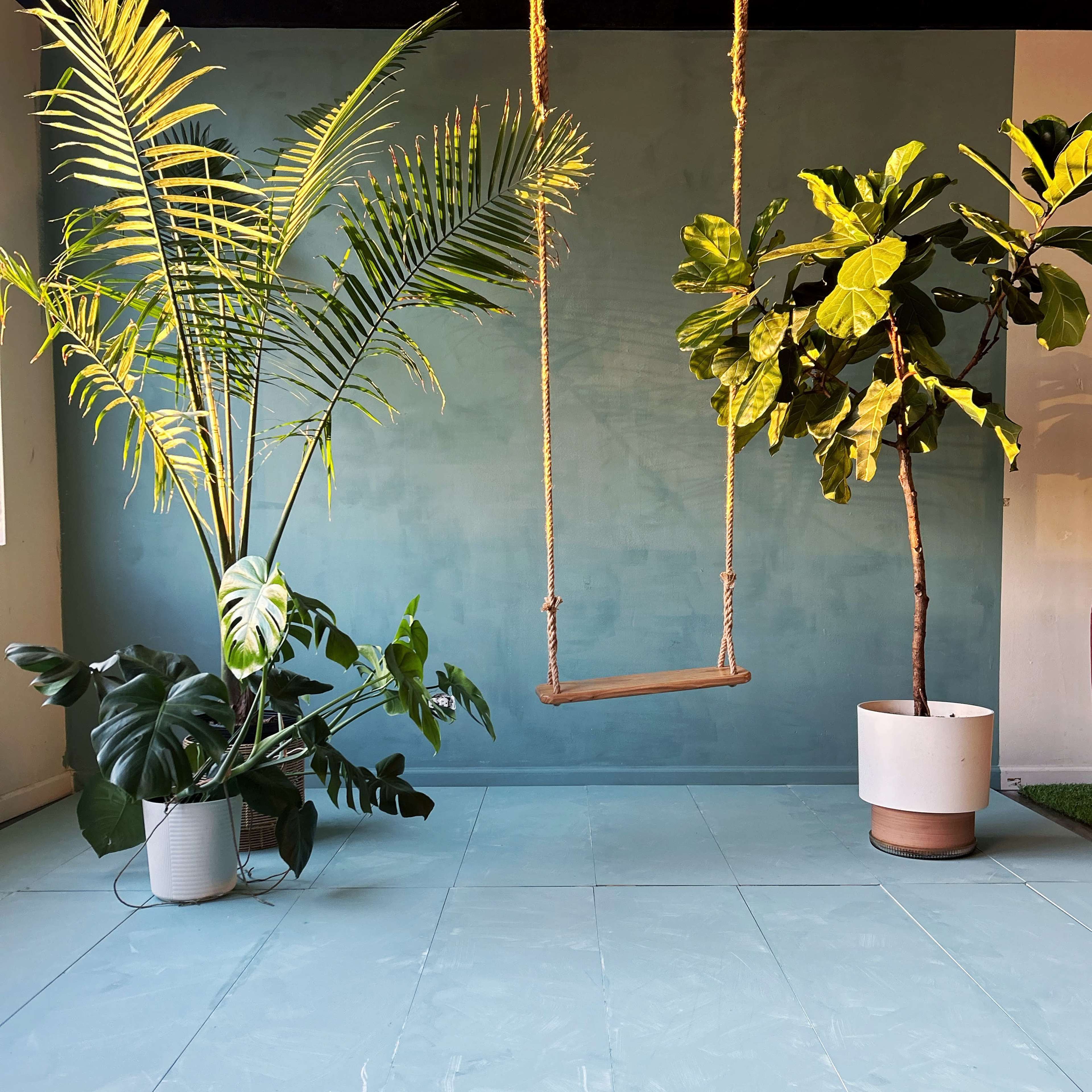 A swing is suspended from the ceiling in a room with a blue wall, flanked by two large indoor plants in white and brown pots.