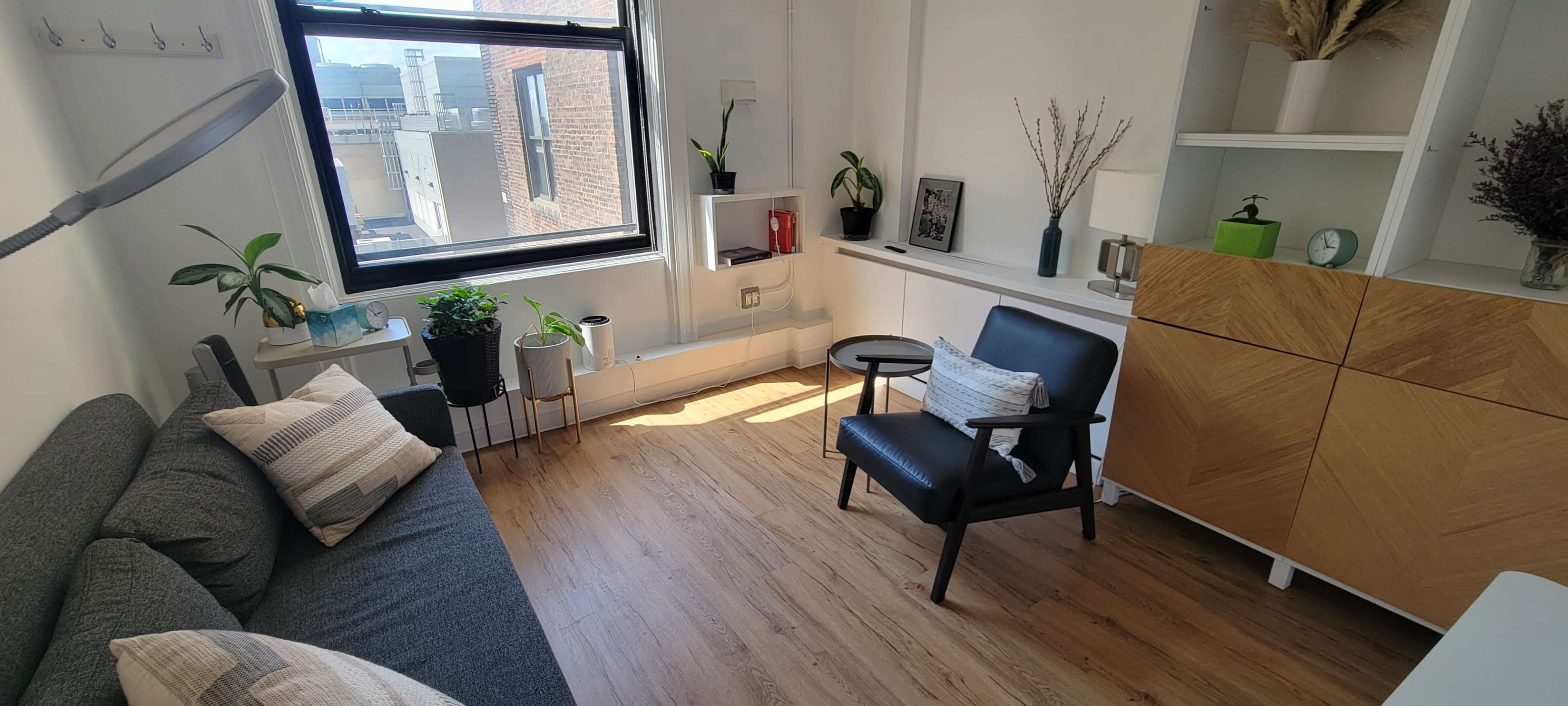 A well-lit, modern living space featuring a gray sofa, a black armchair, green potted plants, and a wooden storage cabinet against a wall.