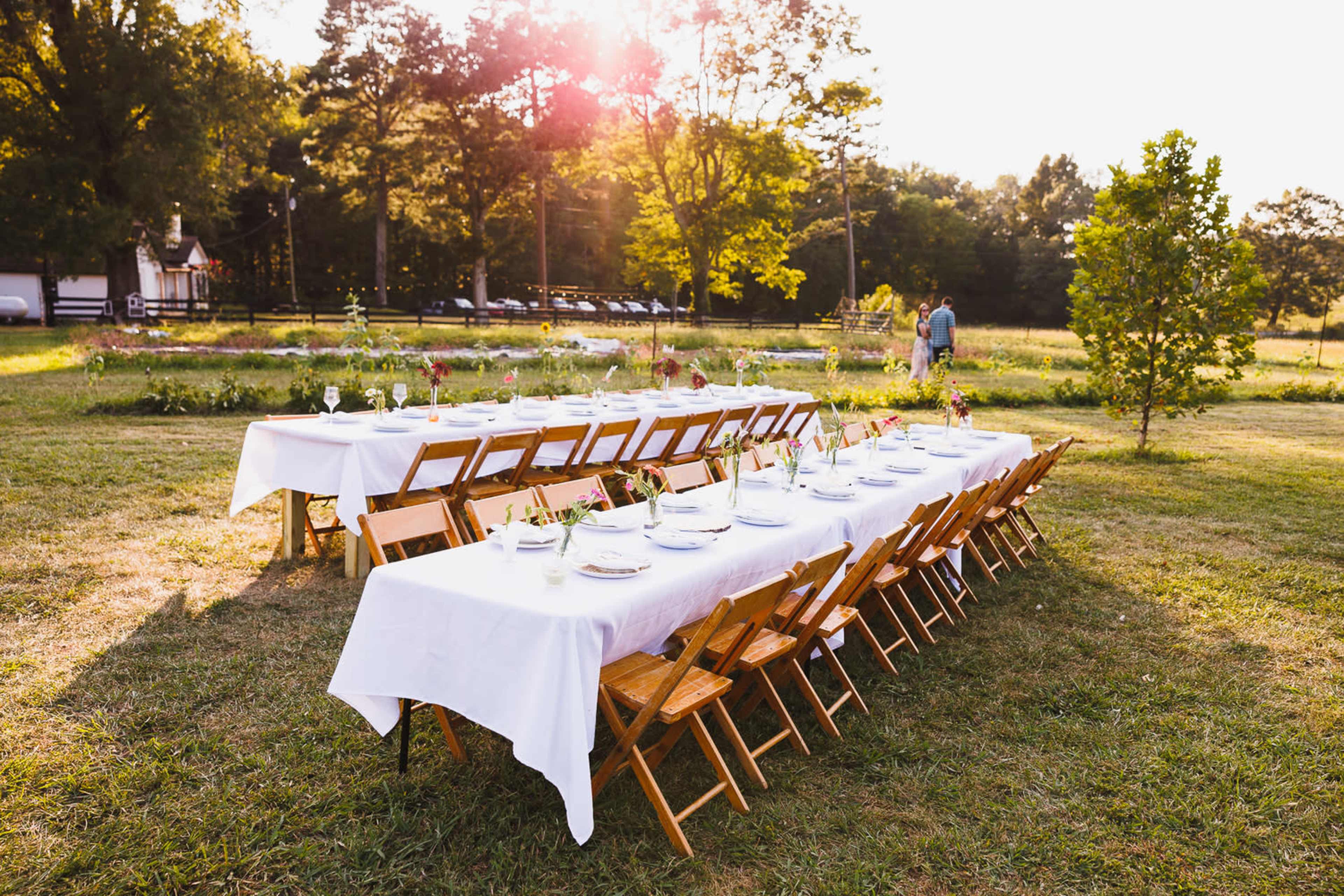 A long dining table set with white linens and plates is arranged outdoors in a grassy area, surrounded by trees and bathed in warm sunlight.