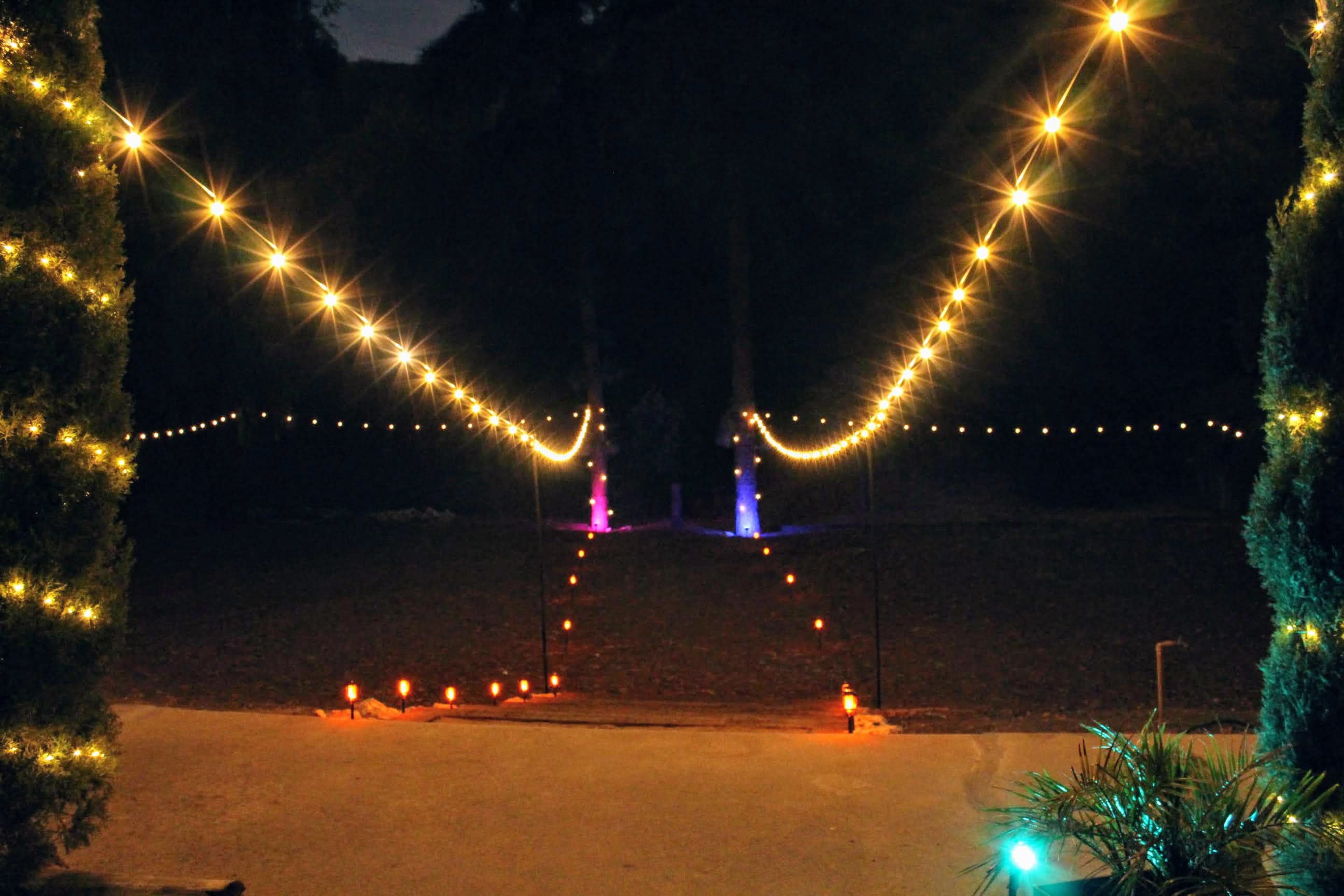 Enchanted "Forest" Backyard Venue Image in Woodland Hills, Woodland Hills, CA