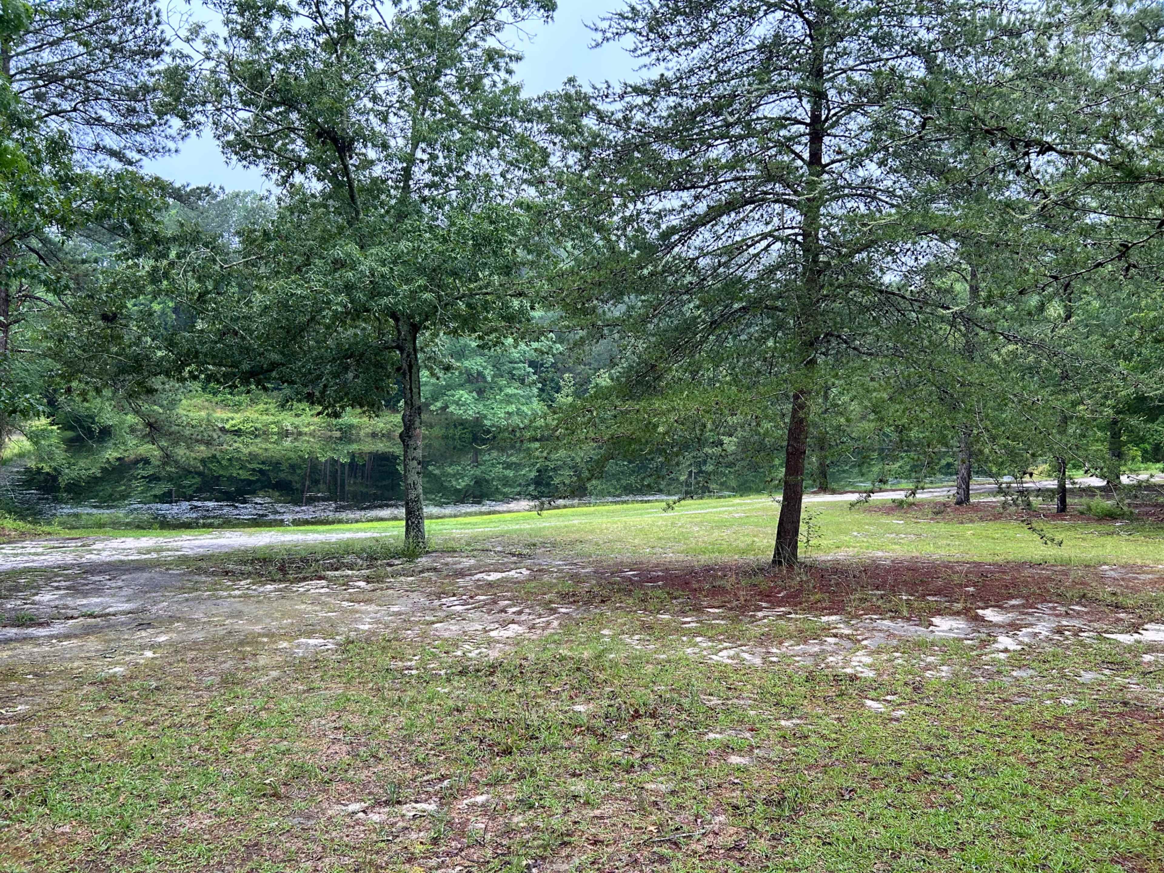 A calm lakeside scene features trees lining a grassy area with a reflective water surface in the background.