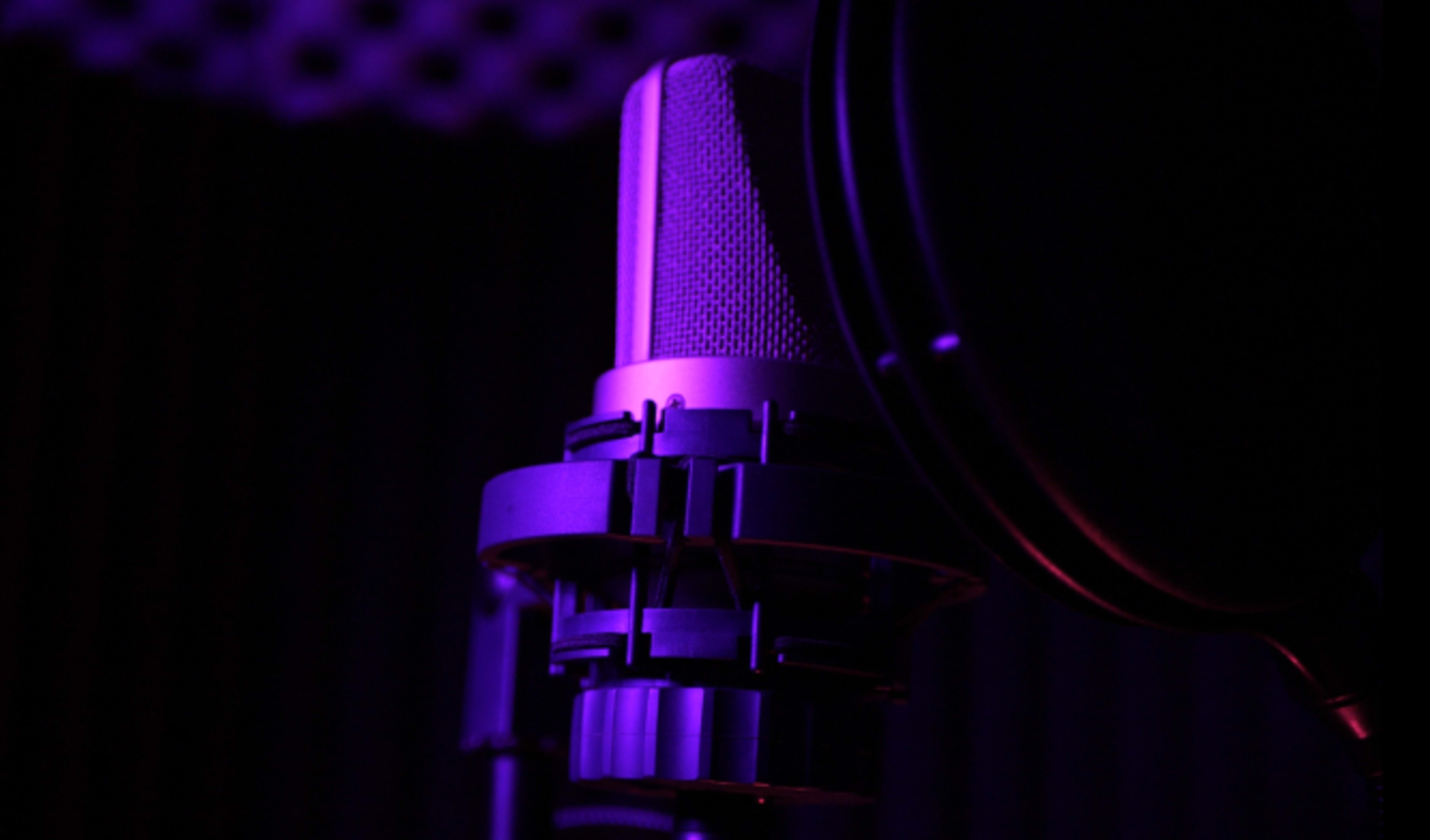 A close-up view of a microphone with a pop filter, illuminated by purple lighting.