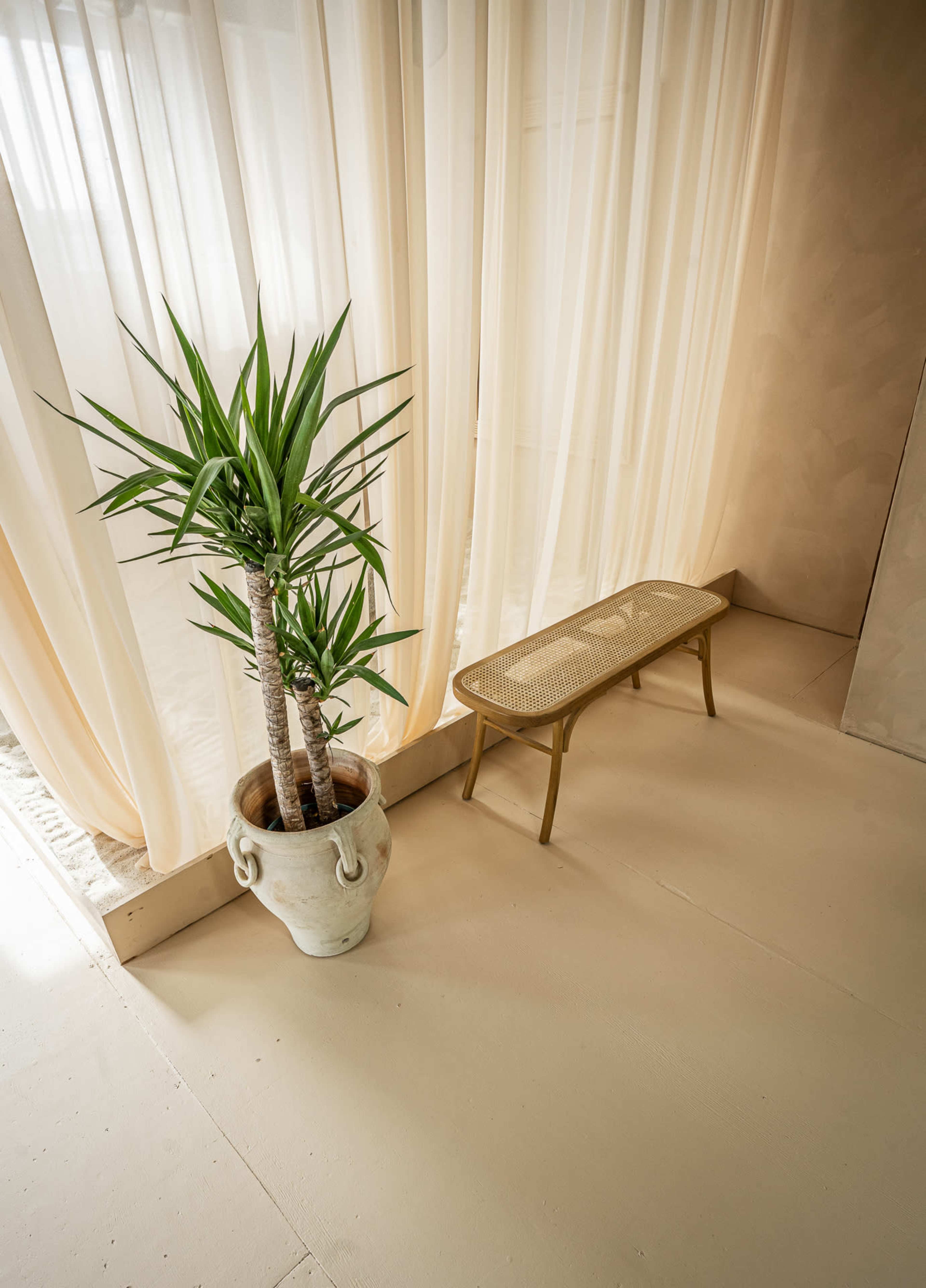 PRM: Natural Light Photo & Video Studio Image in Austin, Chicago, IL