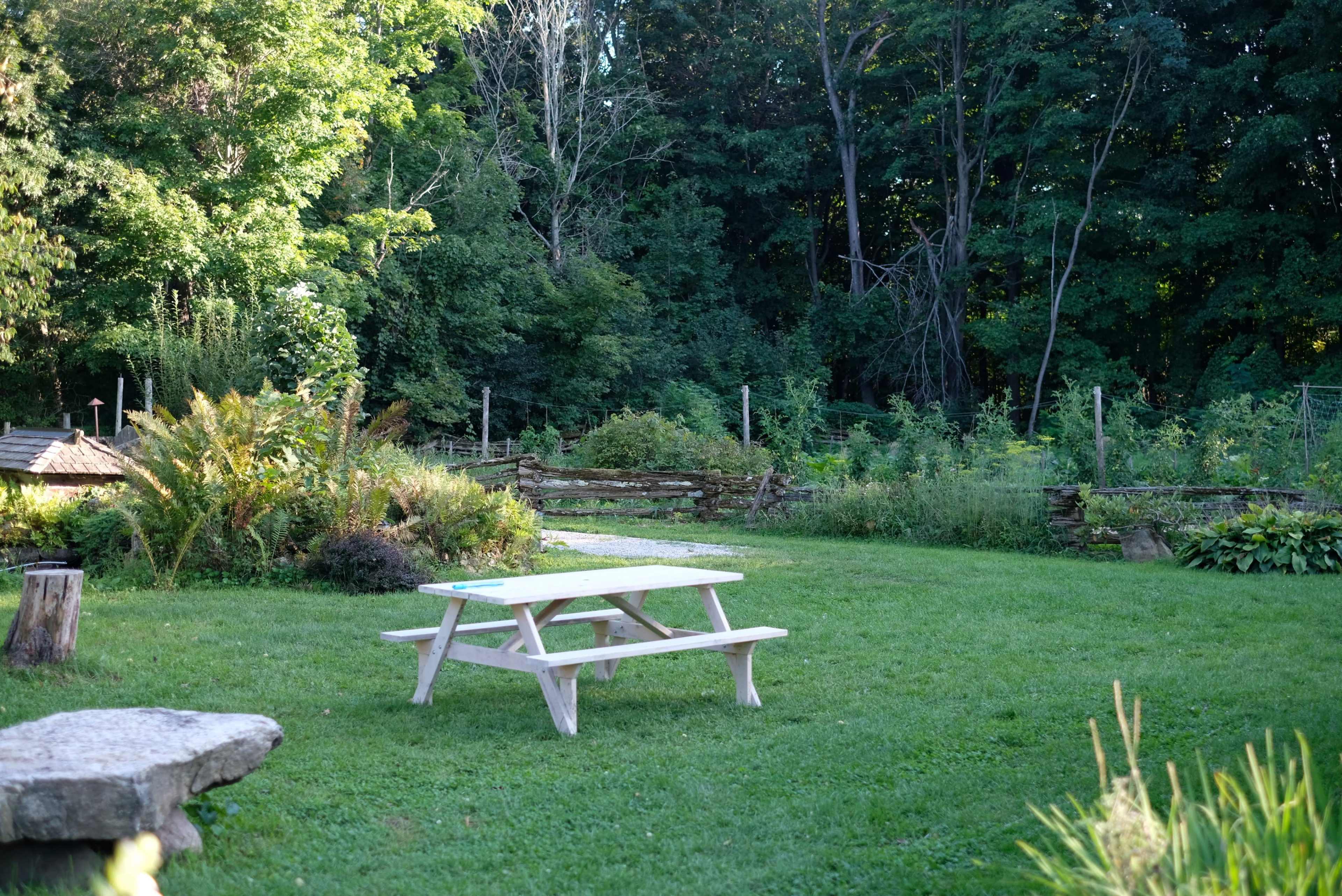 A wooden picnic table sits on a grassy area surrounded by trees and a garden.