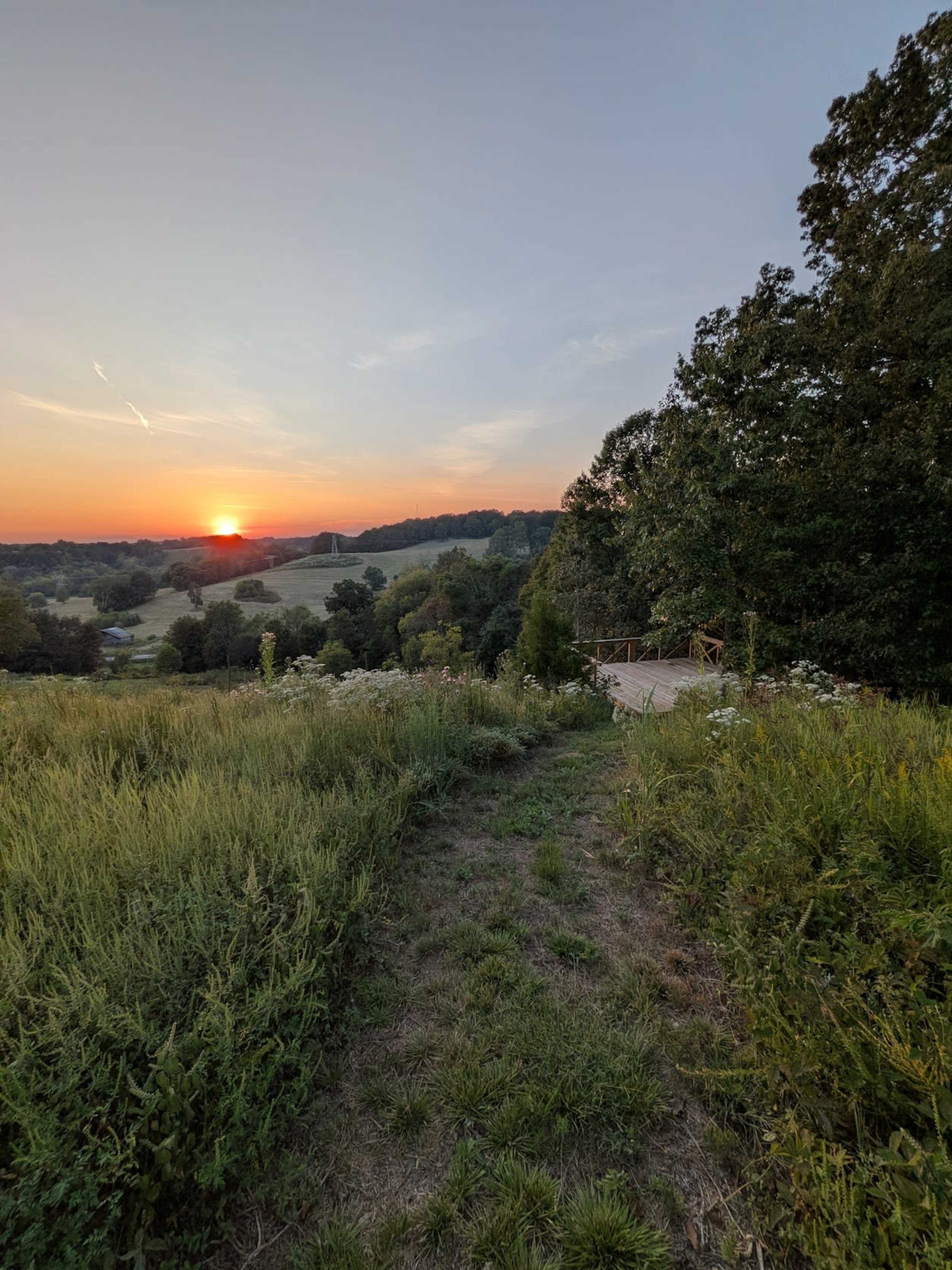 A path through tall grass leads towards a sunset over a valley, with trees framing the scene.