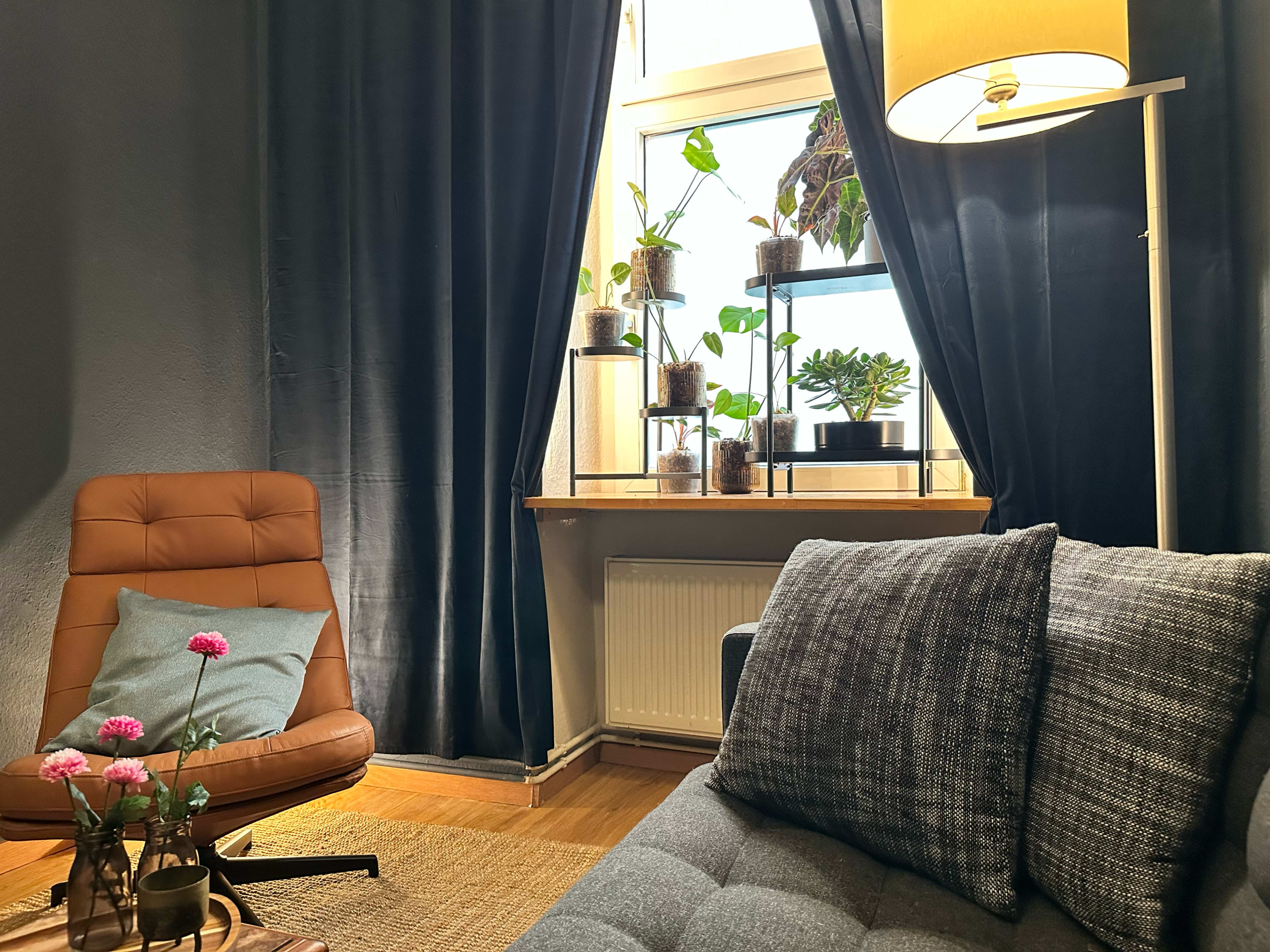 The image shows a cozy living room corner featuring a brown armchair, a gray sofa with patterned cushions, and several potted plants on a shelf by a window, surrounded by dark curtains.