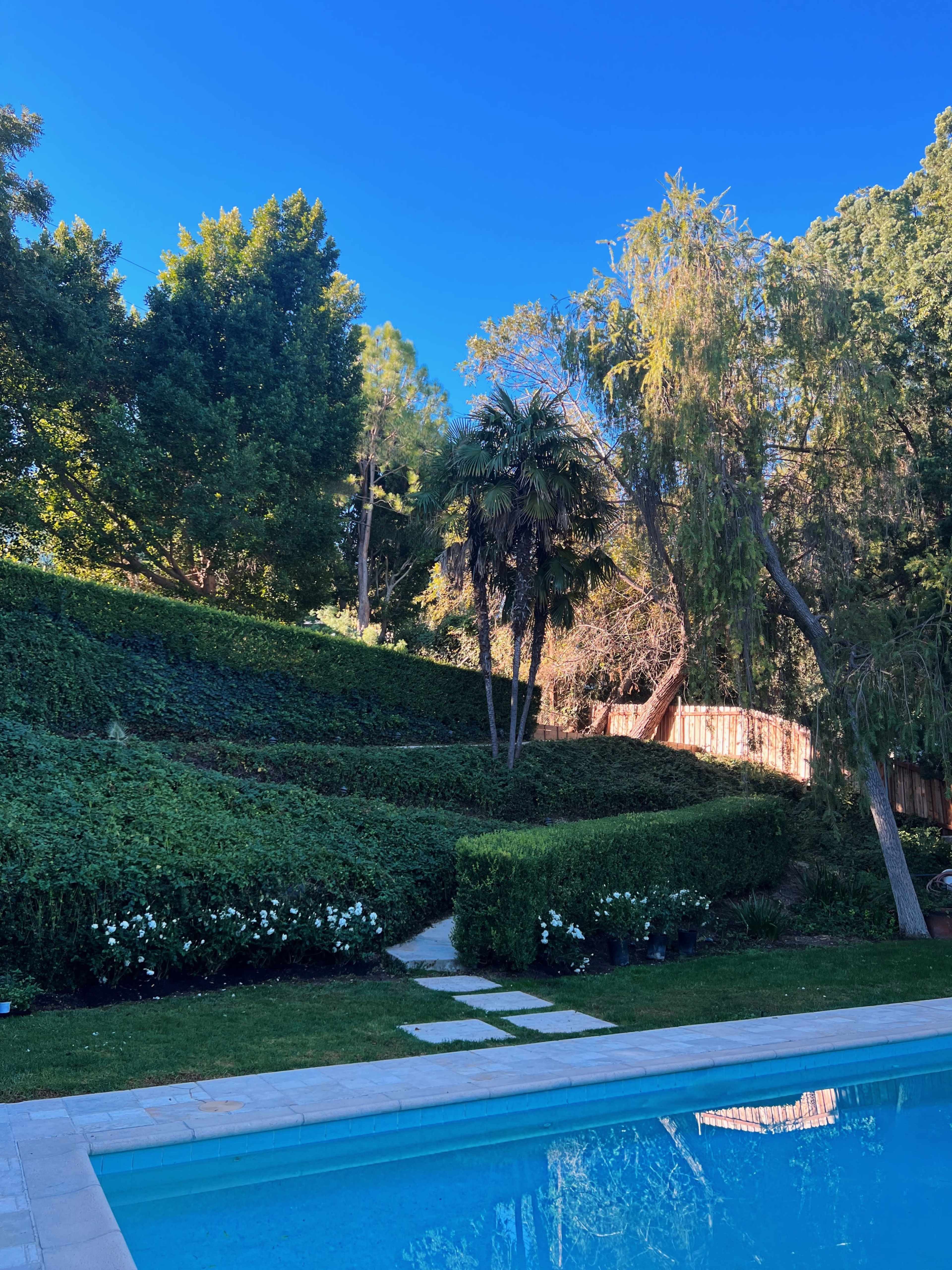 A swimming pool in the foreground with a landscaped yard featuring hedges, trees, and a pathway leading into the greenery.