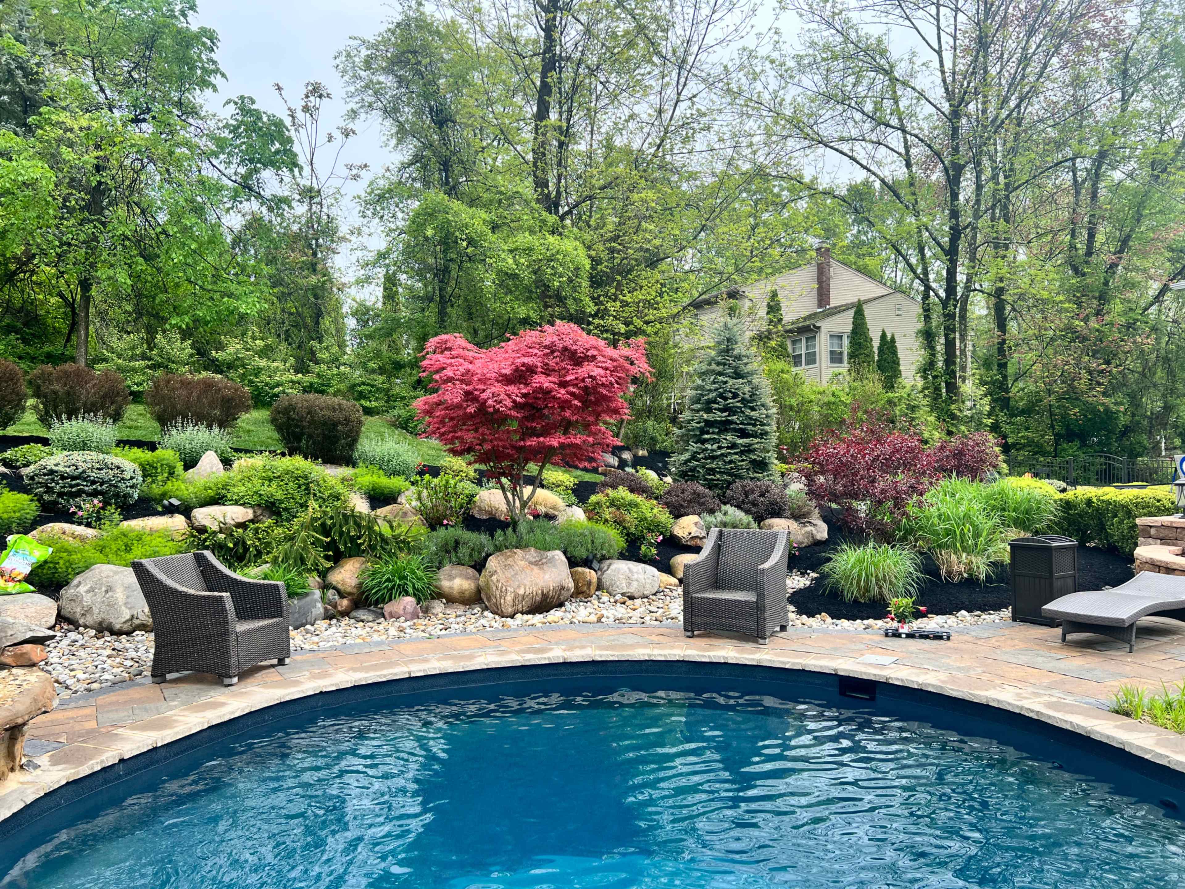 The image shows a landscaped backyard with a swimming pool, surrounded by various plants, trees, and decorative rocks, with seating areas on the edge of the pool.