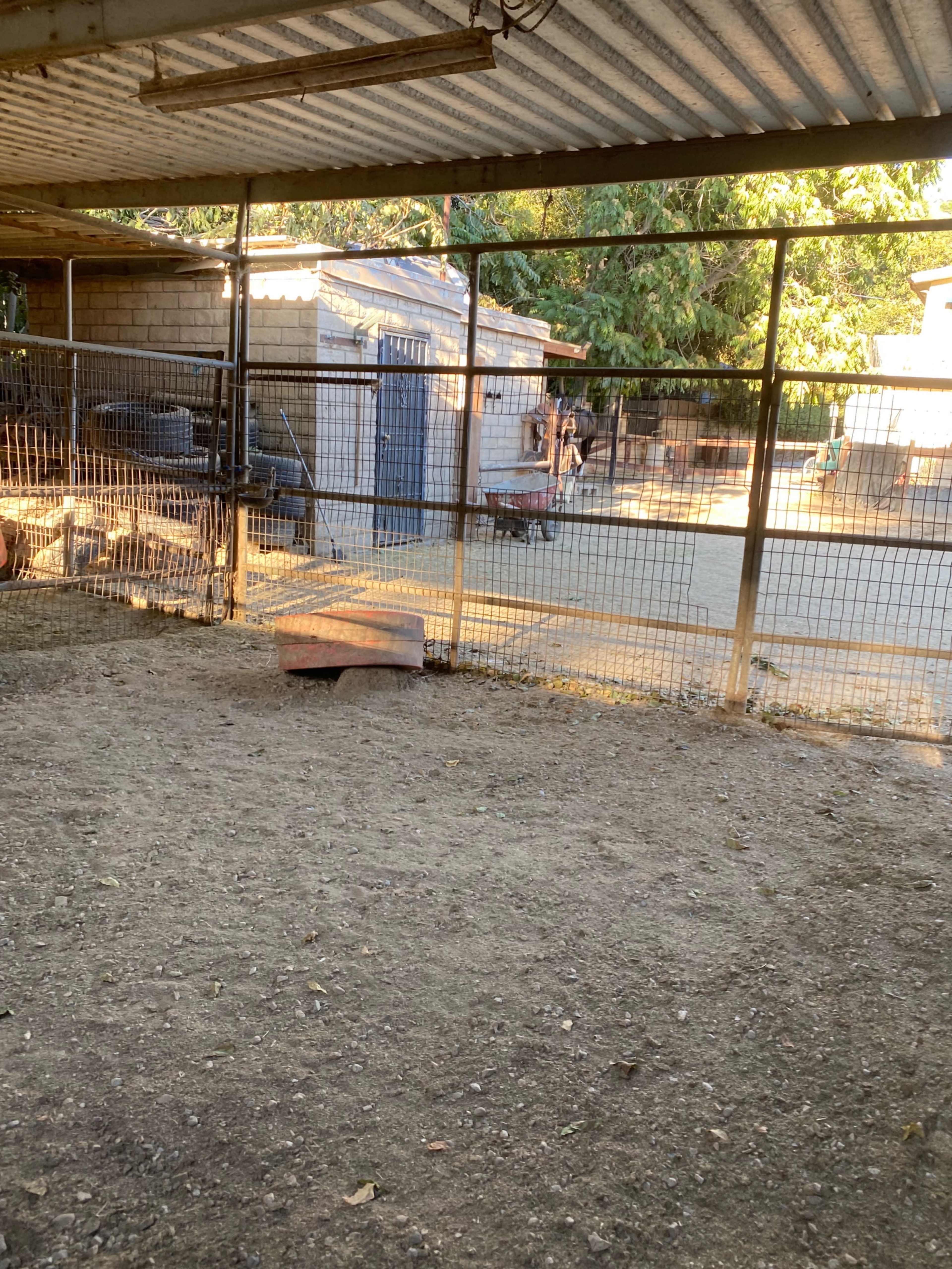 Modern Horse Ranch with access to horses Image in Shadow Hills, Sunland, CA