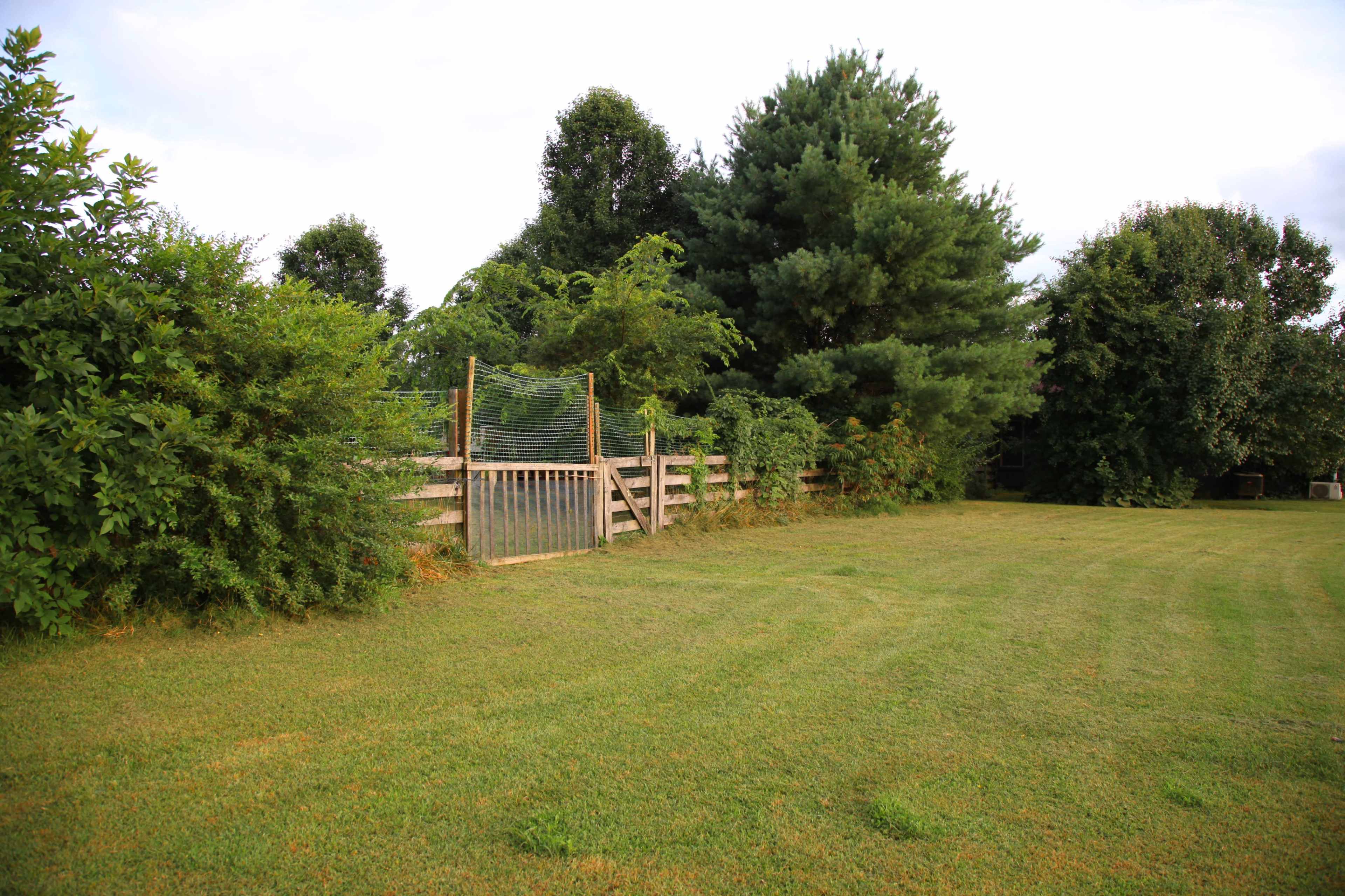 A wooden gate stands at the entrance of a lush, green backyard surrounded by trees and shrubs.