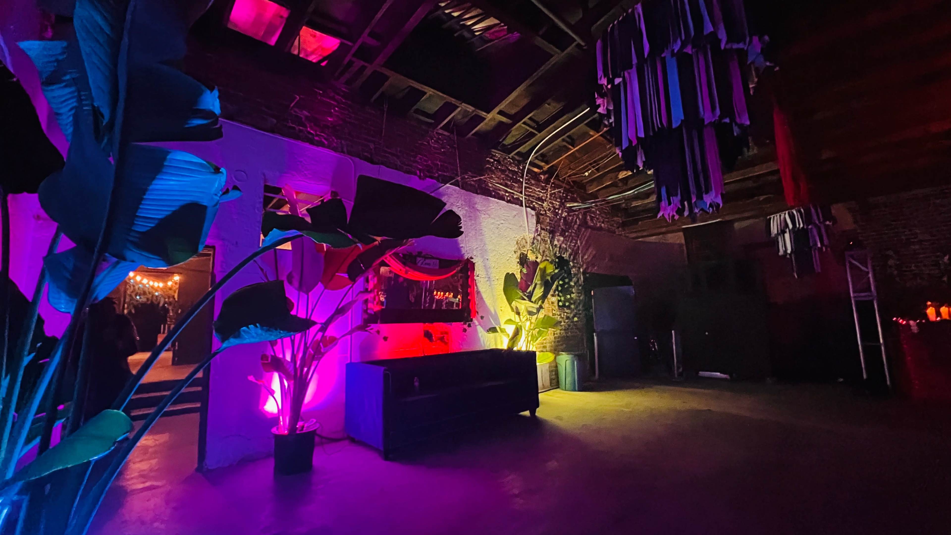The scene features an industrial space with vibrant lighting, including purple and pink hues, highlighting plants and a dark furniture piece against a textured wall.