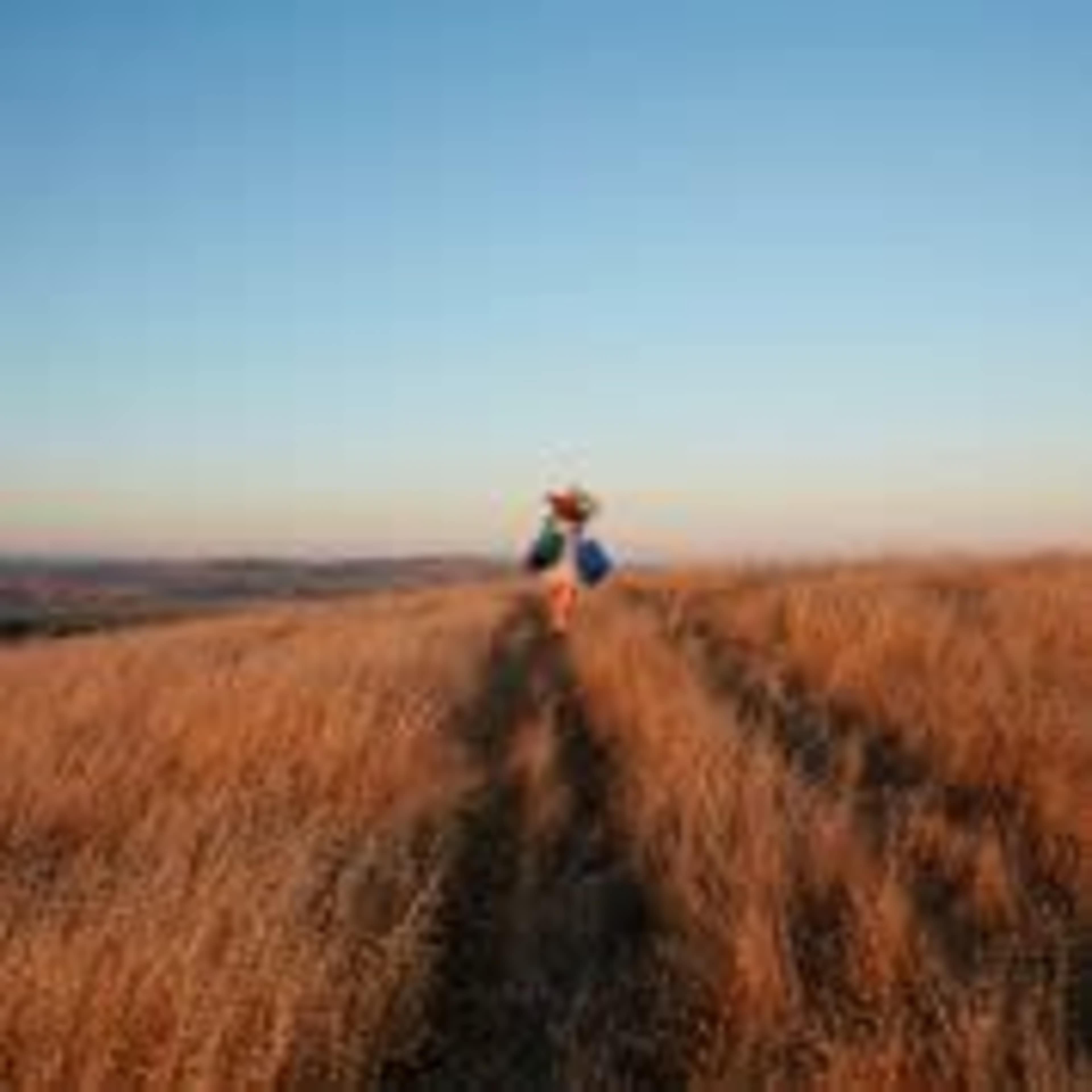 63 Acres of natural beauty! Image in , Petaluma, CA