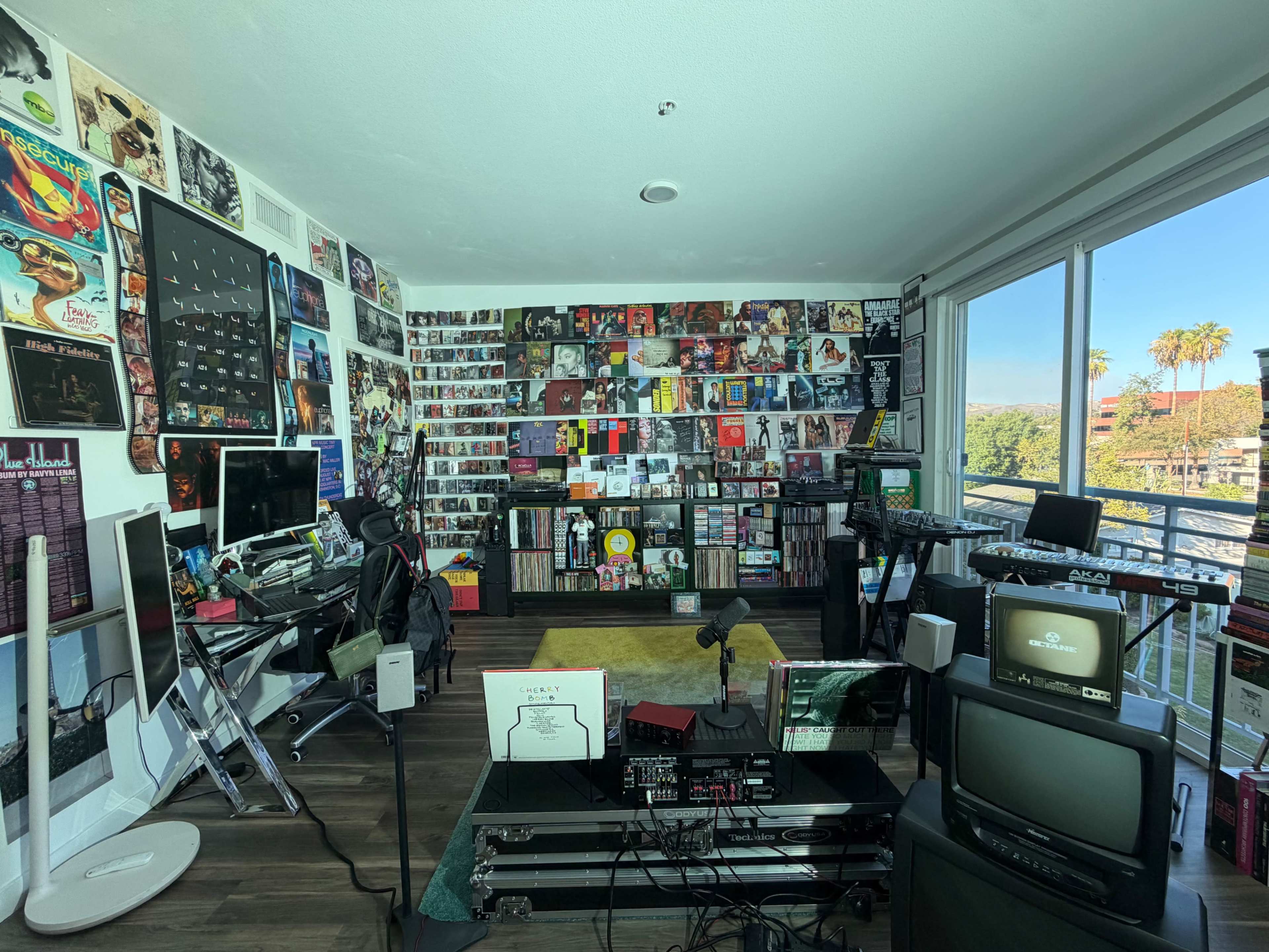 The room features a collection of vinyl records and music posters displayed on the walls, along with various audio equipment and computer setups.