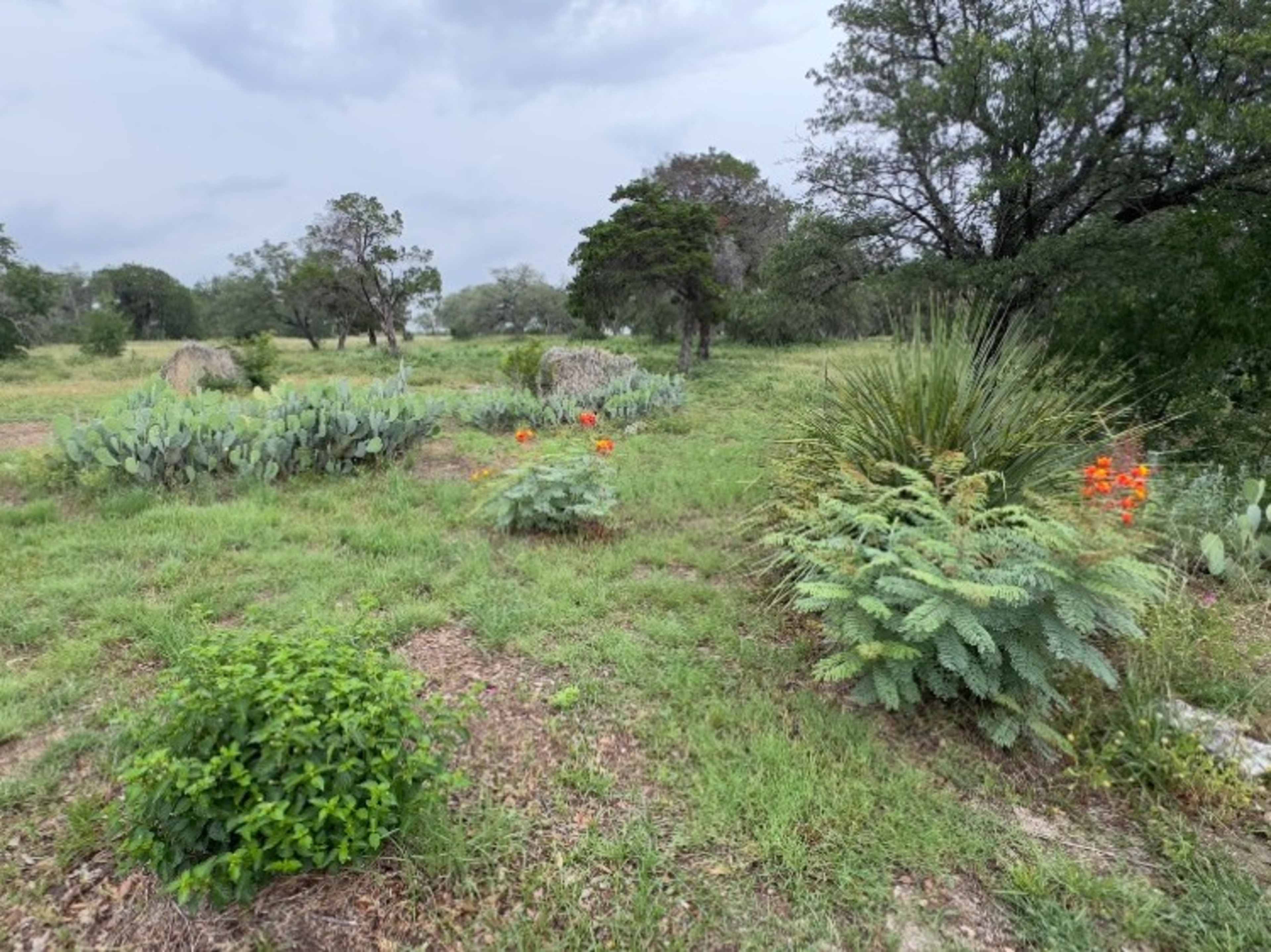 Open 11 acres of land