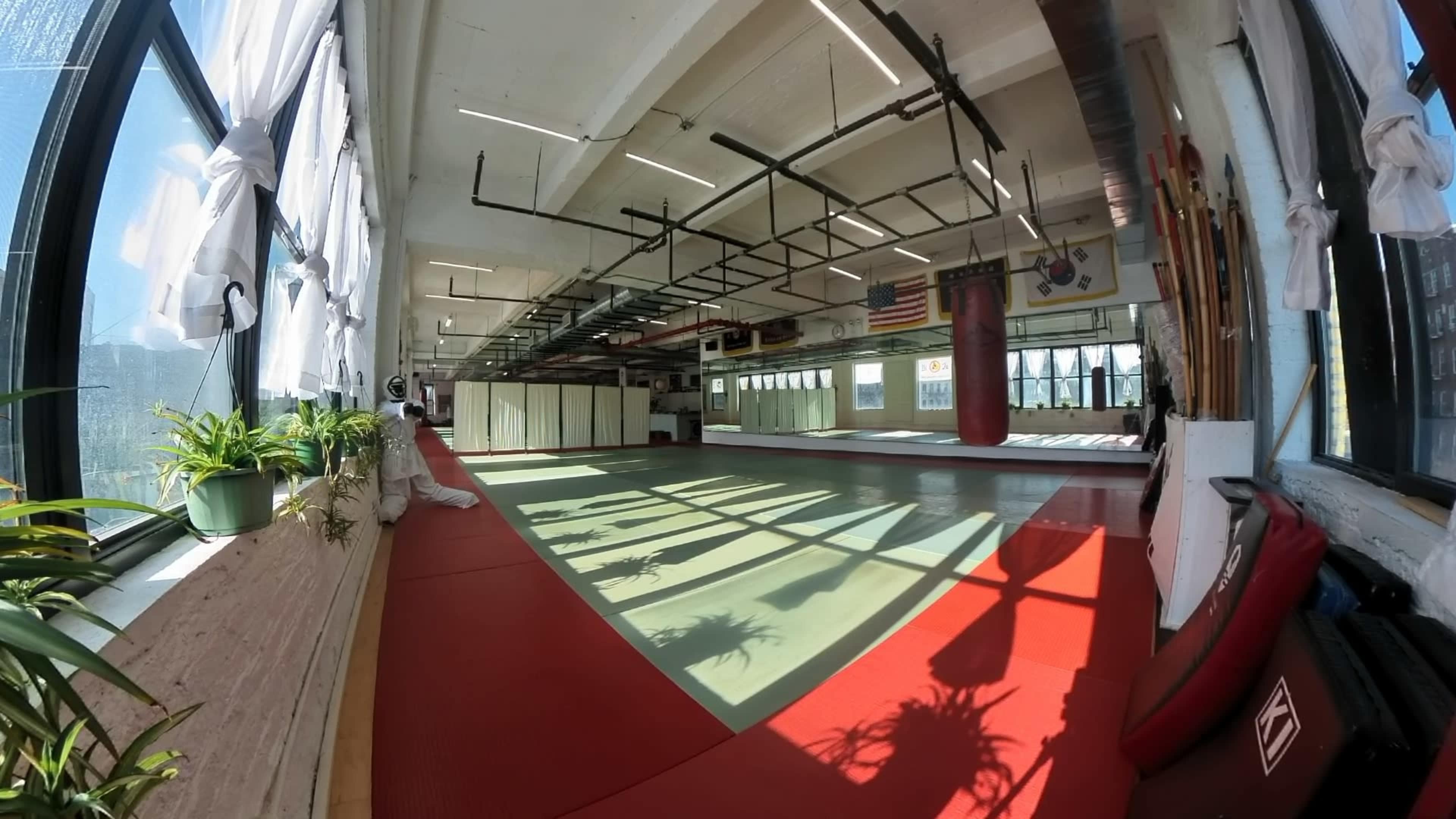 The image shows a spacious martial arts studio with red and green mats, large windows allowing natural light, and various training equipment along the walls.