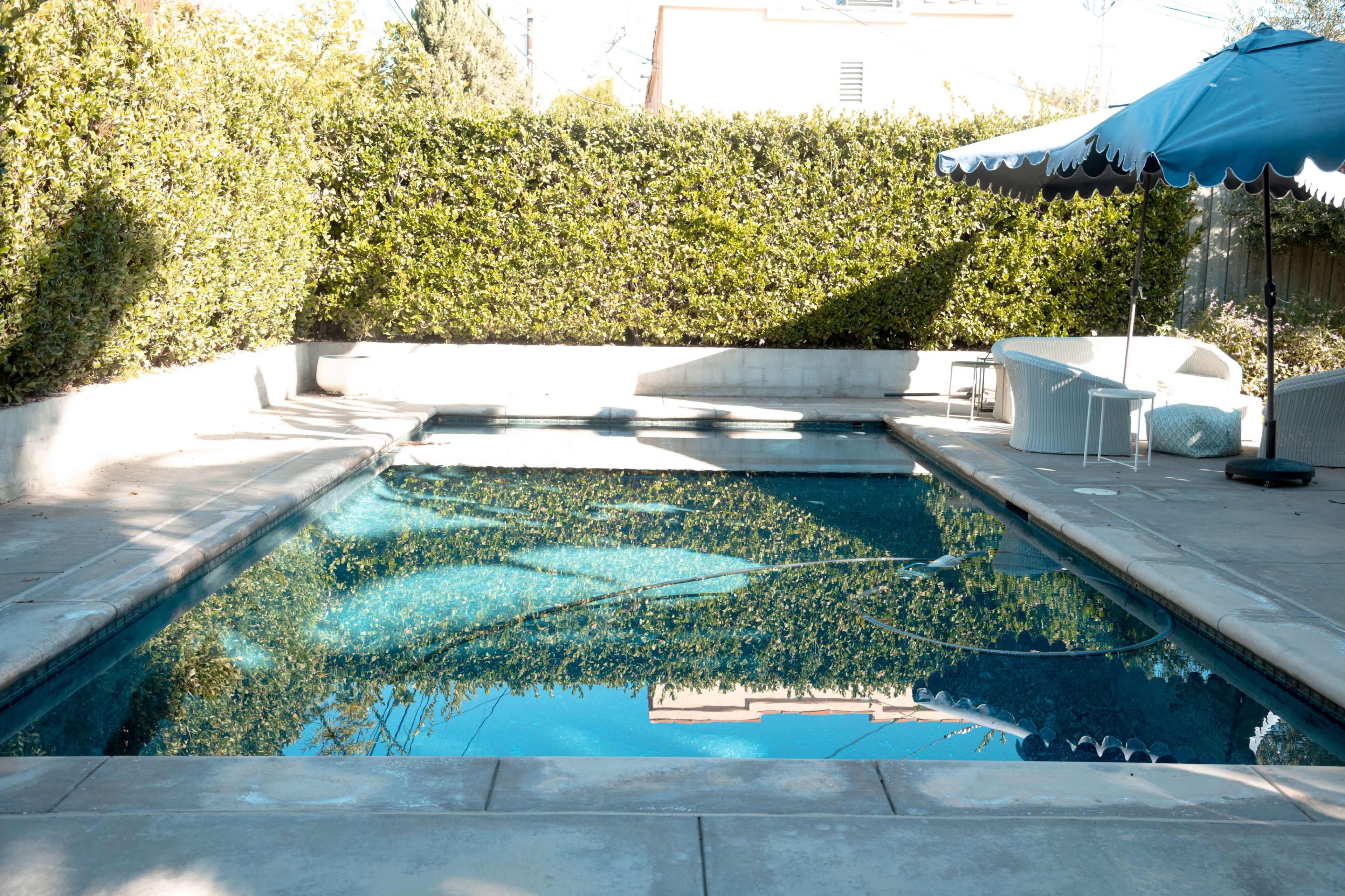 A clear swimming pool surrounded by hedges and a sunshade on a patio.