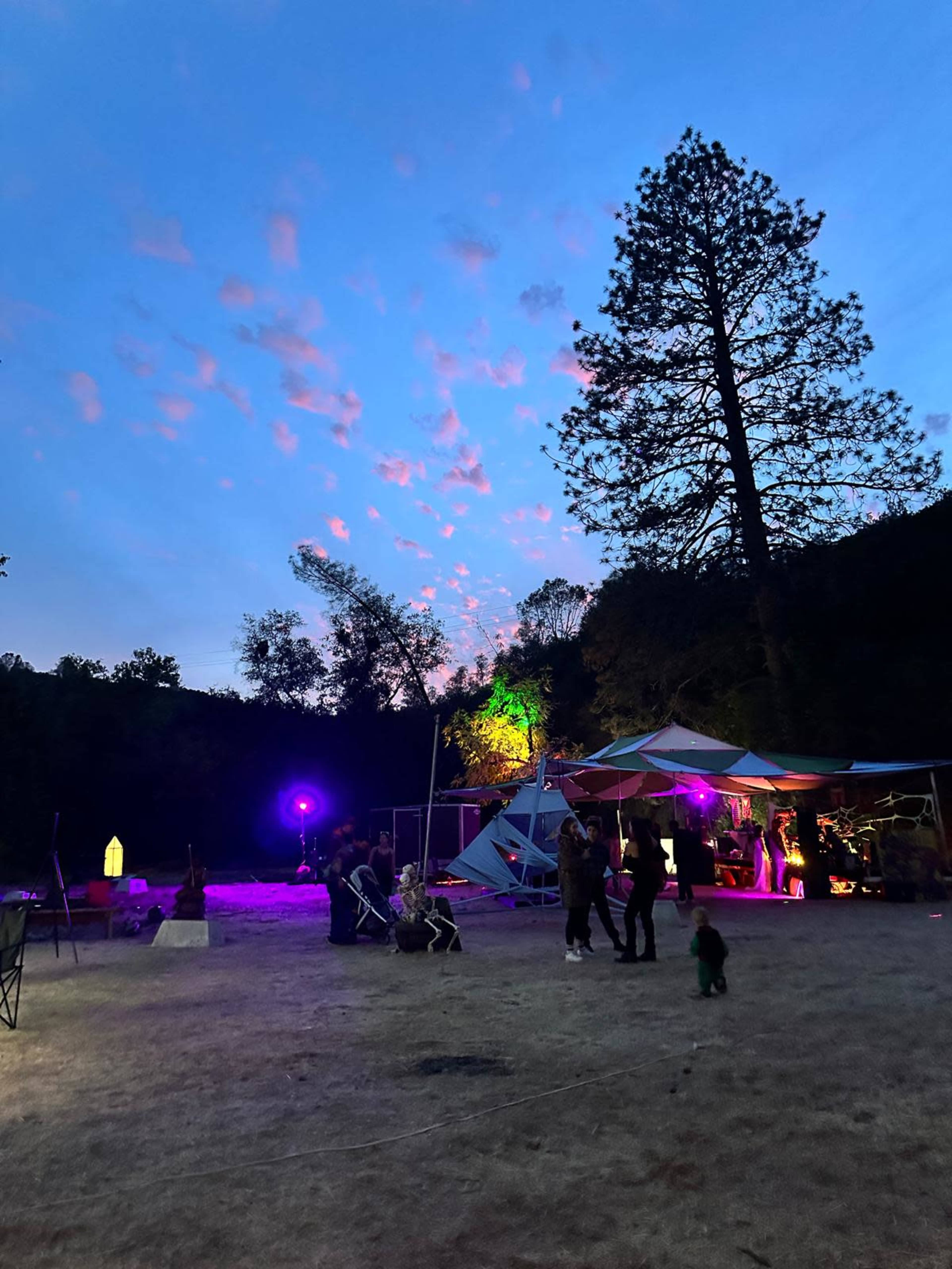 The scene captures a twilight outdoor event with colorful lights illuminating a tent area amidst trees and a purple sky with scattered clouds.