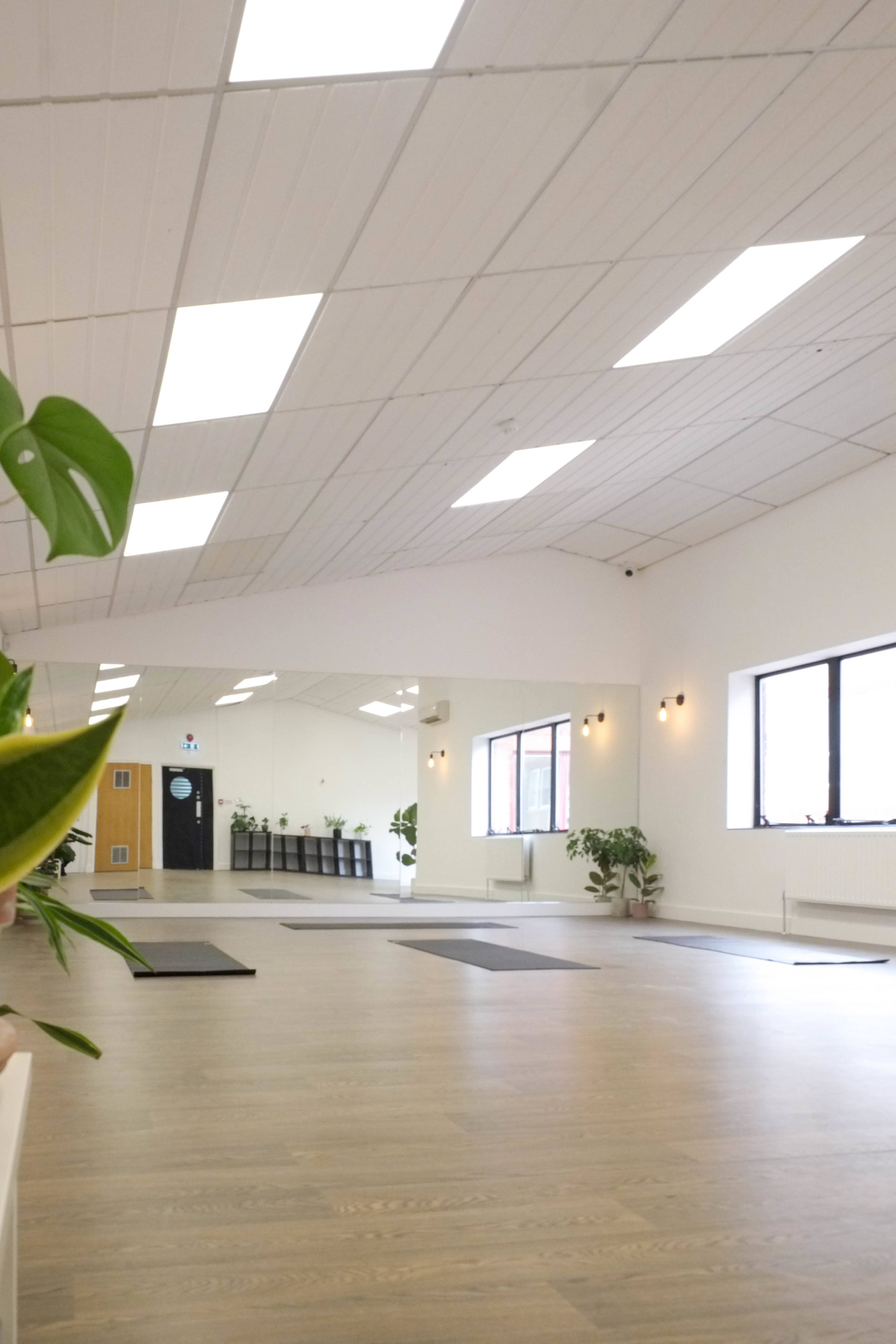 A spacious, bright yoga studio with wooden flooring, several yoga mats arranged on the floor, and plants along the edges.