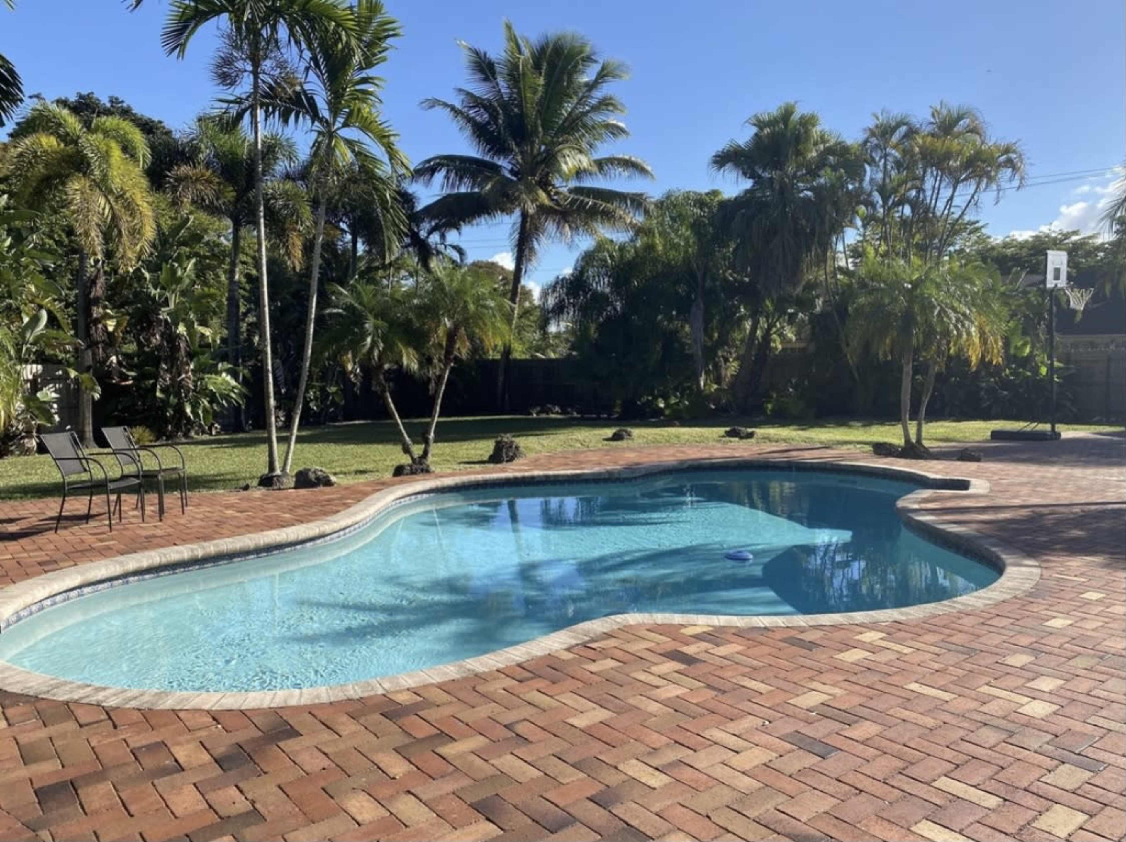 A spacious, kidney-shaped swimming pool surrounded by a brick patio and palm trees in a lush backyard garden.