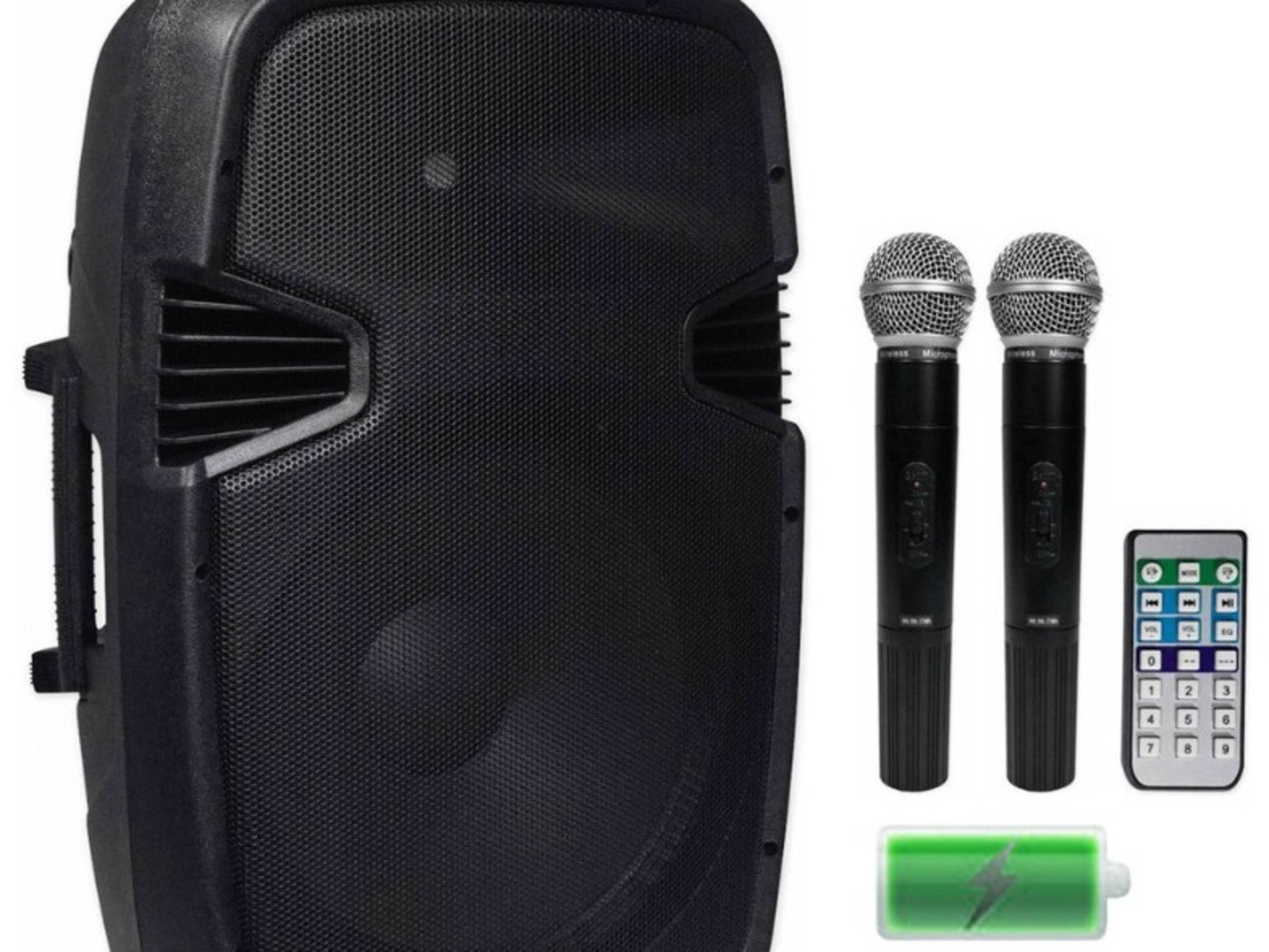 Microphone & Speaker