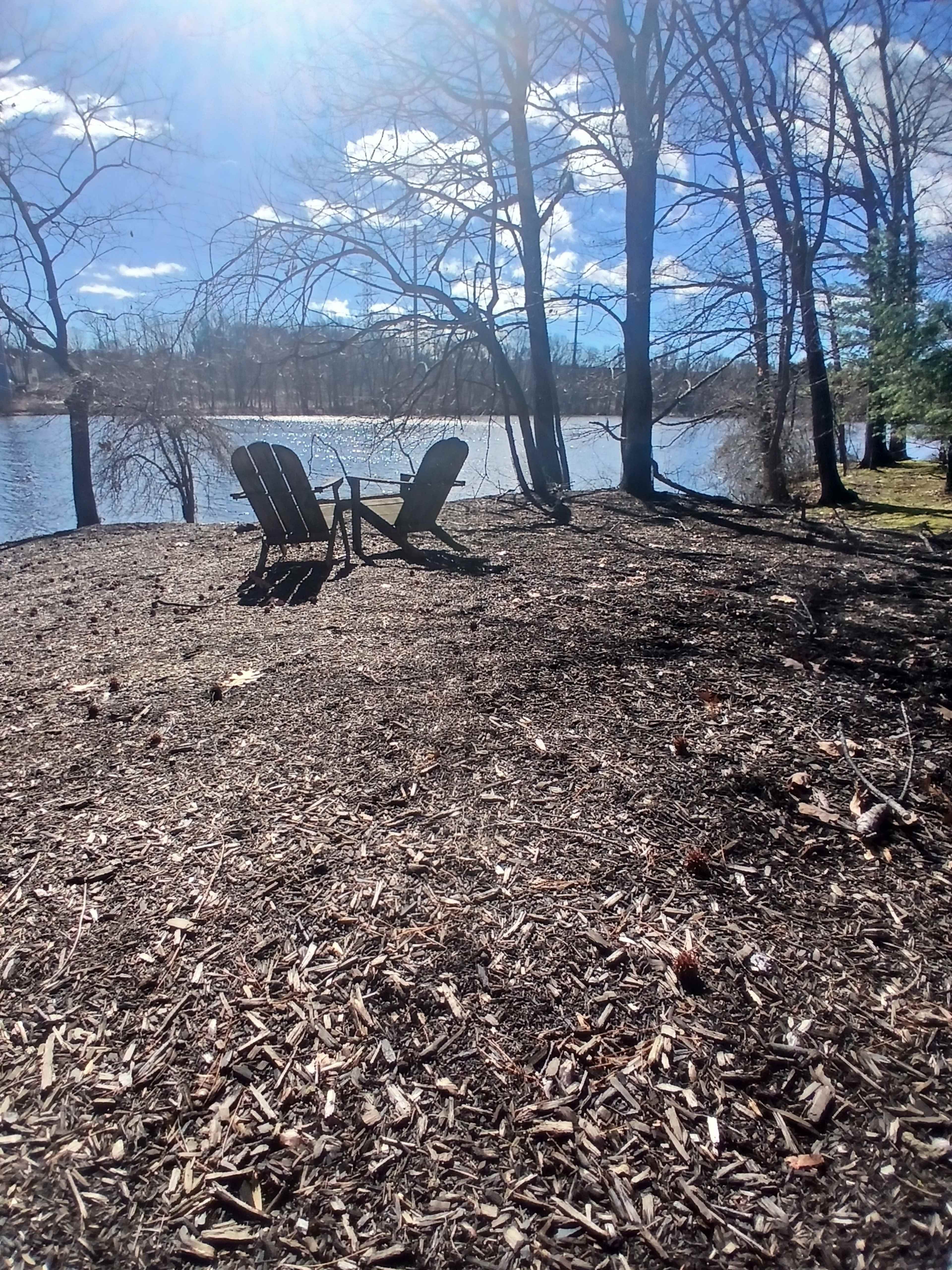 Two Adirondack chairs sit on a mulched area near a lake, surrounded by bare trees under a bright sky.