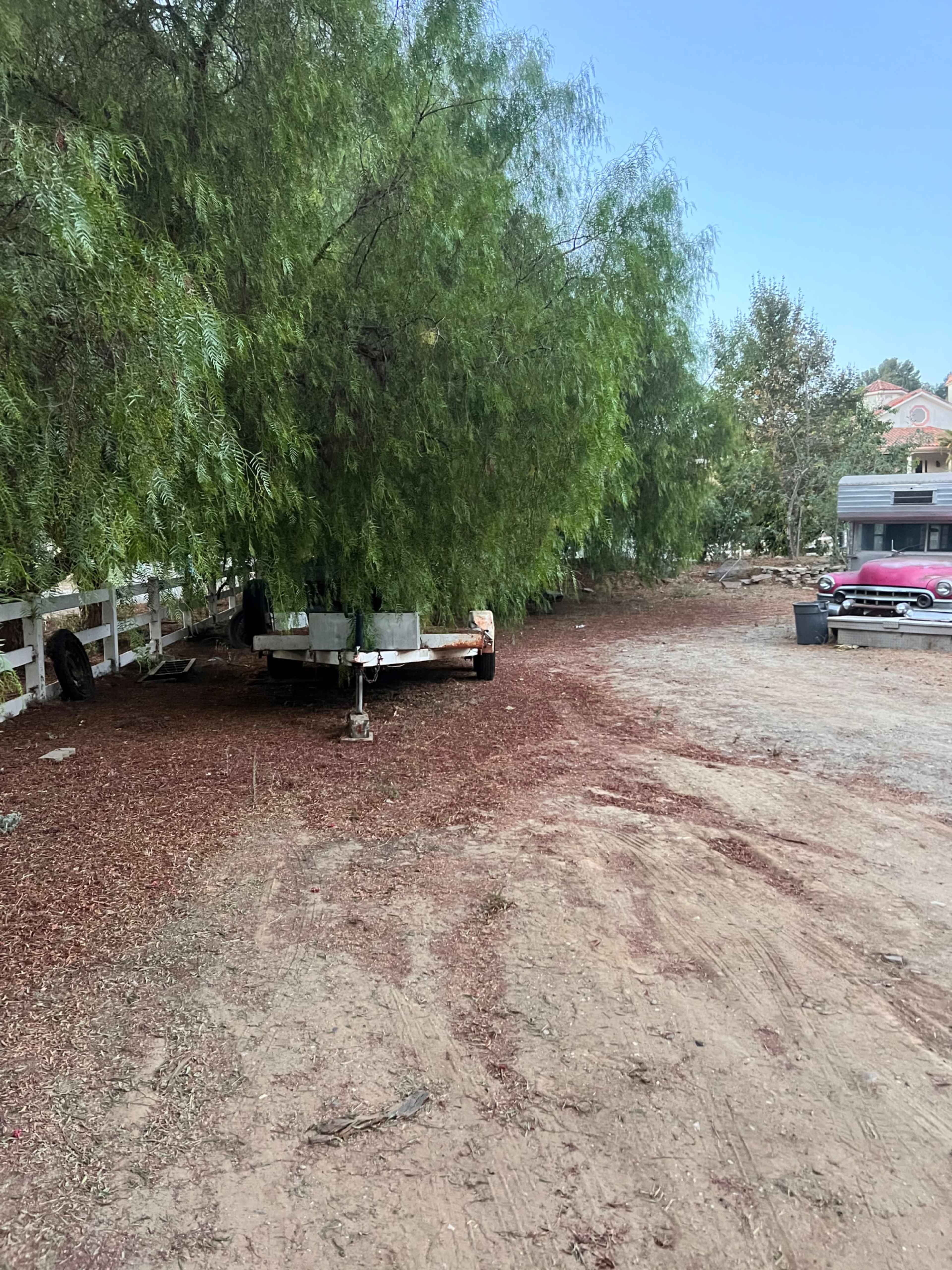 The image shows a dirt area with a trailer partially covered by trees and surrounded by scattered leaves.