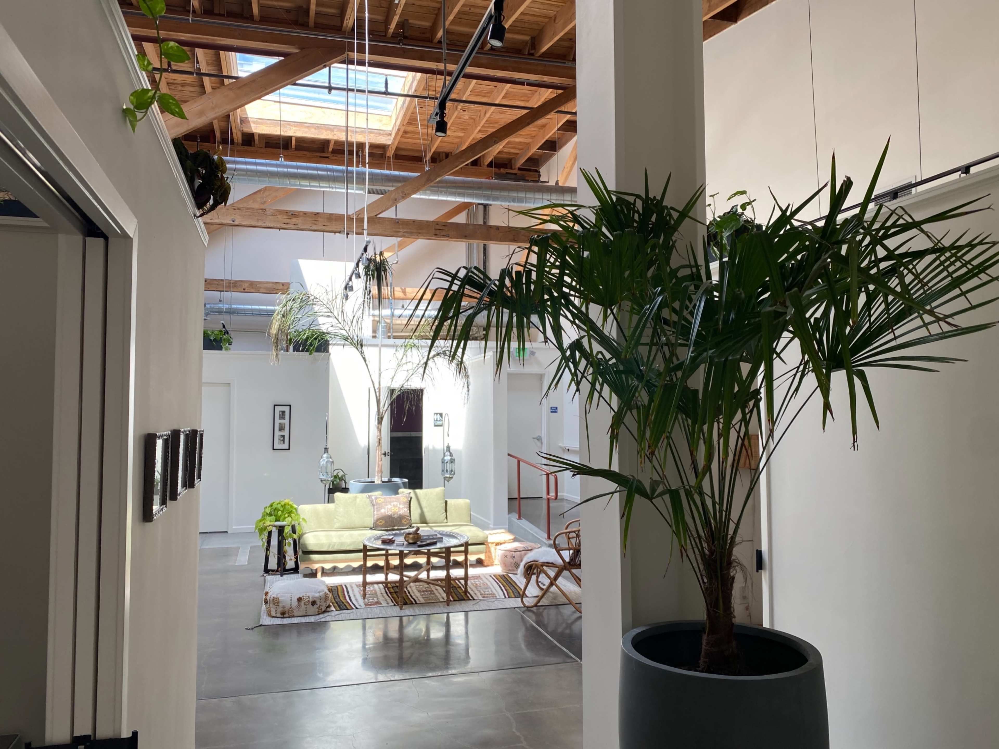 A bright, modern interior with a green sofa, wicker chairs, and large plants against a backdrop of exposed wooden beams and polished concrete floors.