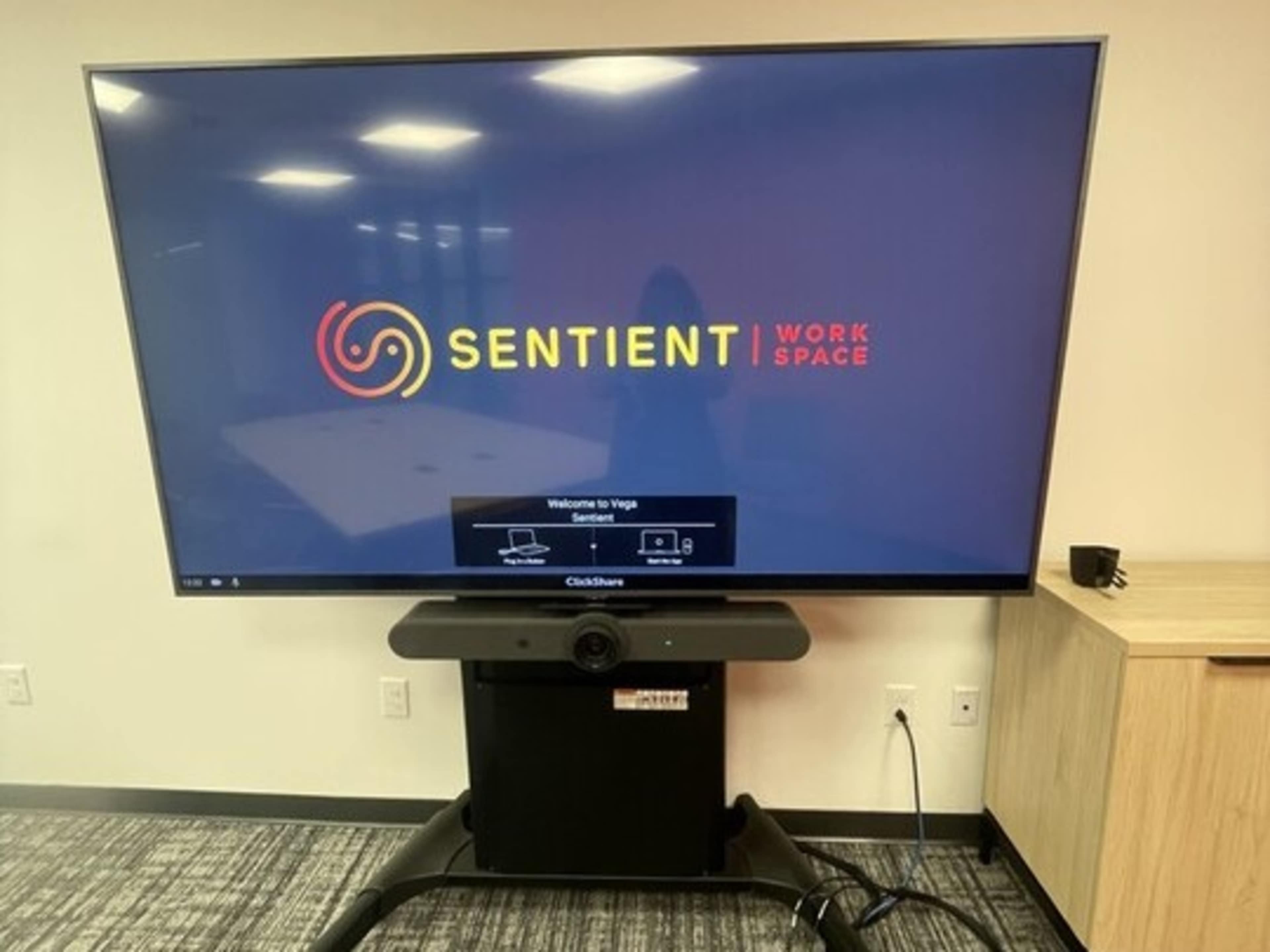 Television with Plug In 