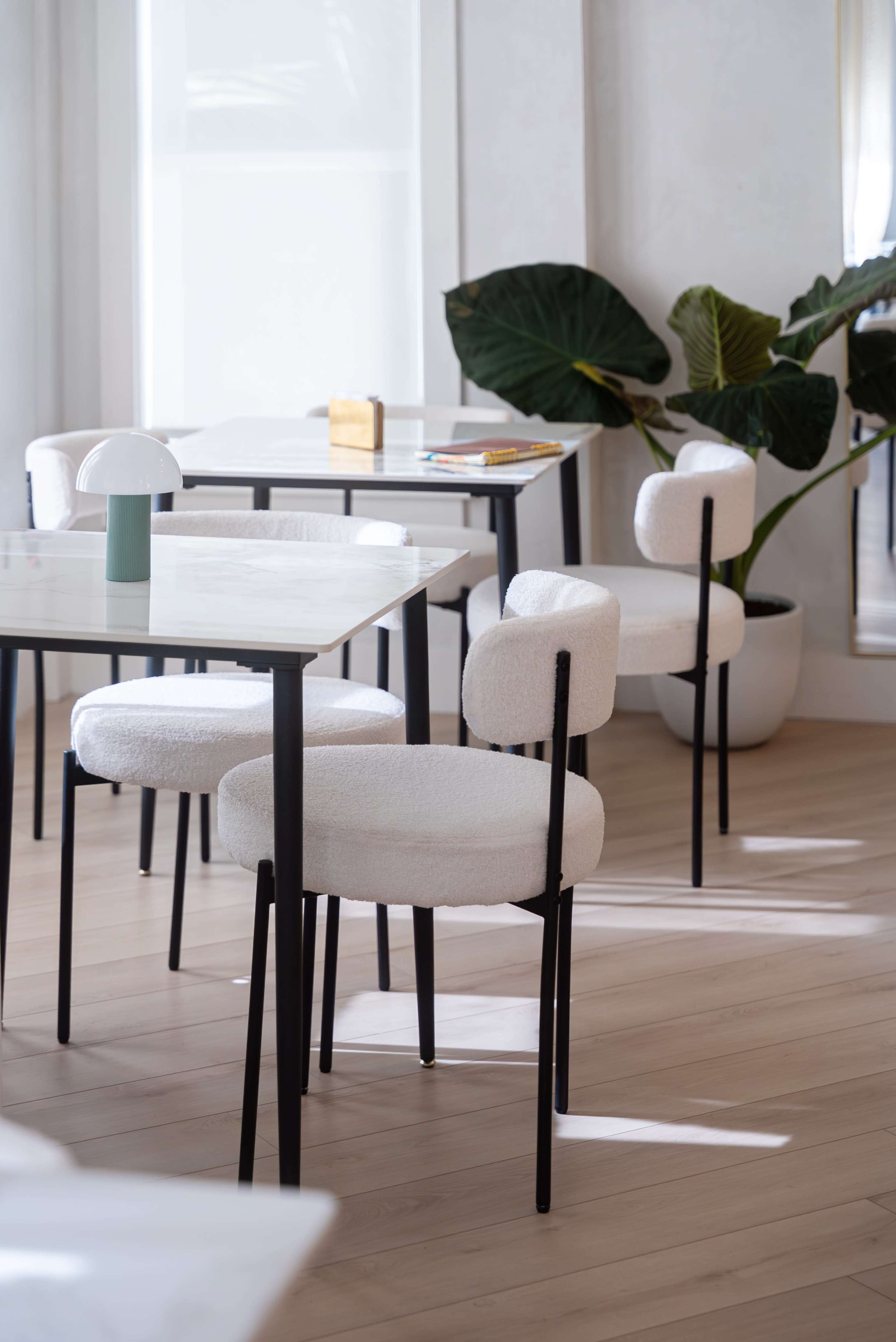 The image features a modern dining area with white upholstered chairs, a glass table, and a large potted plant near a bright window.