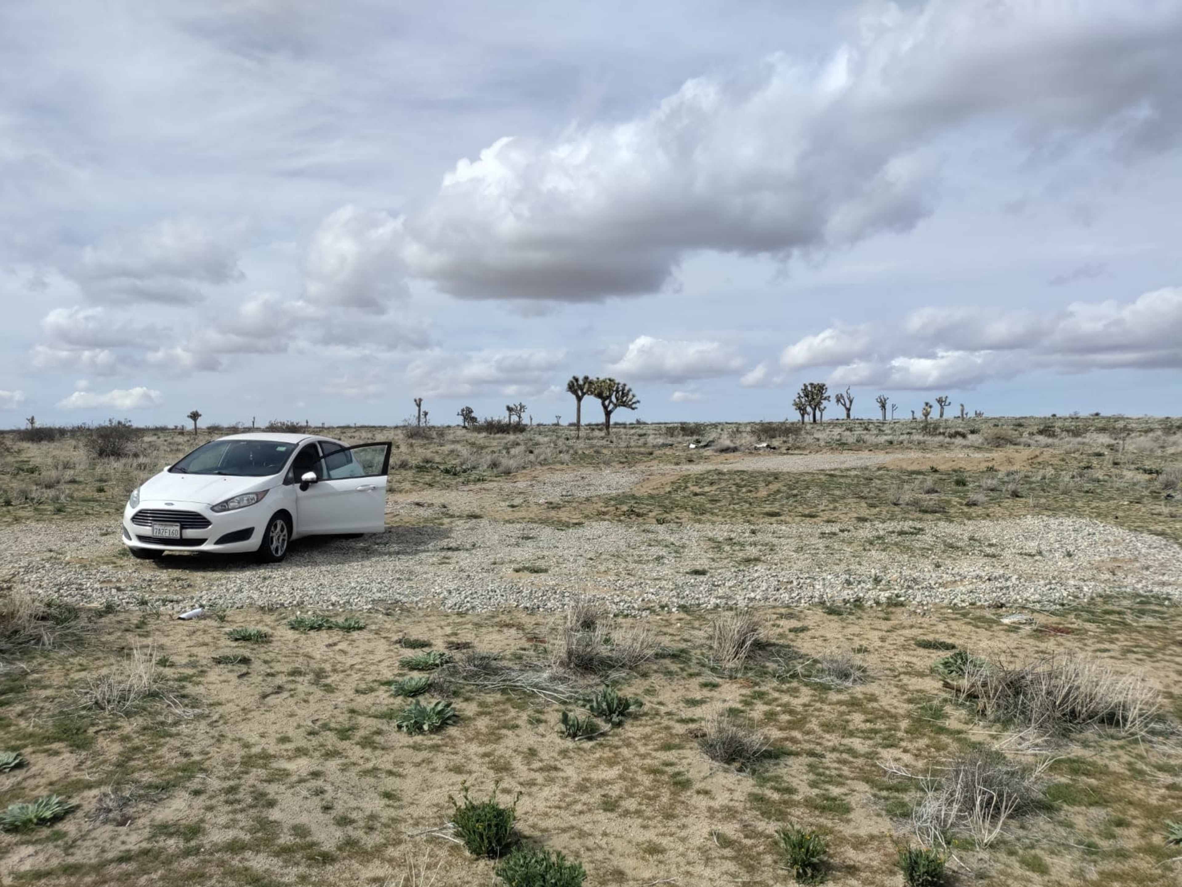 A white car is parked with its door open in a rocky, sparse desert landscape featuring a few distant Joshua trees under a cloudy sky.