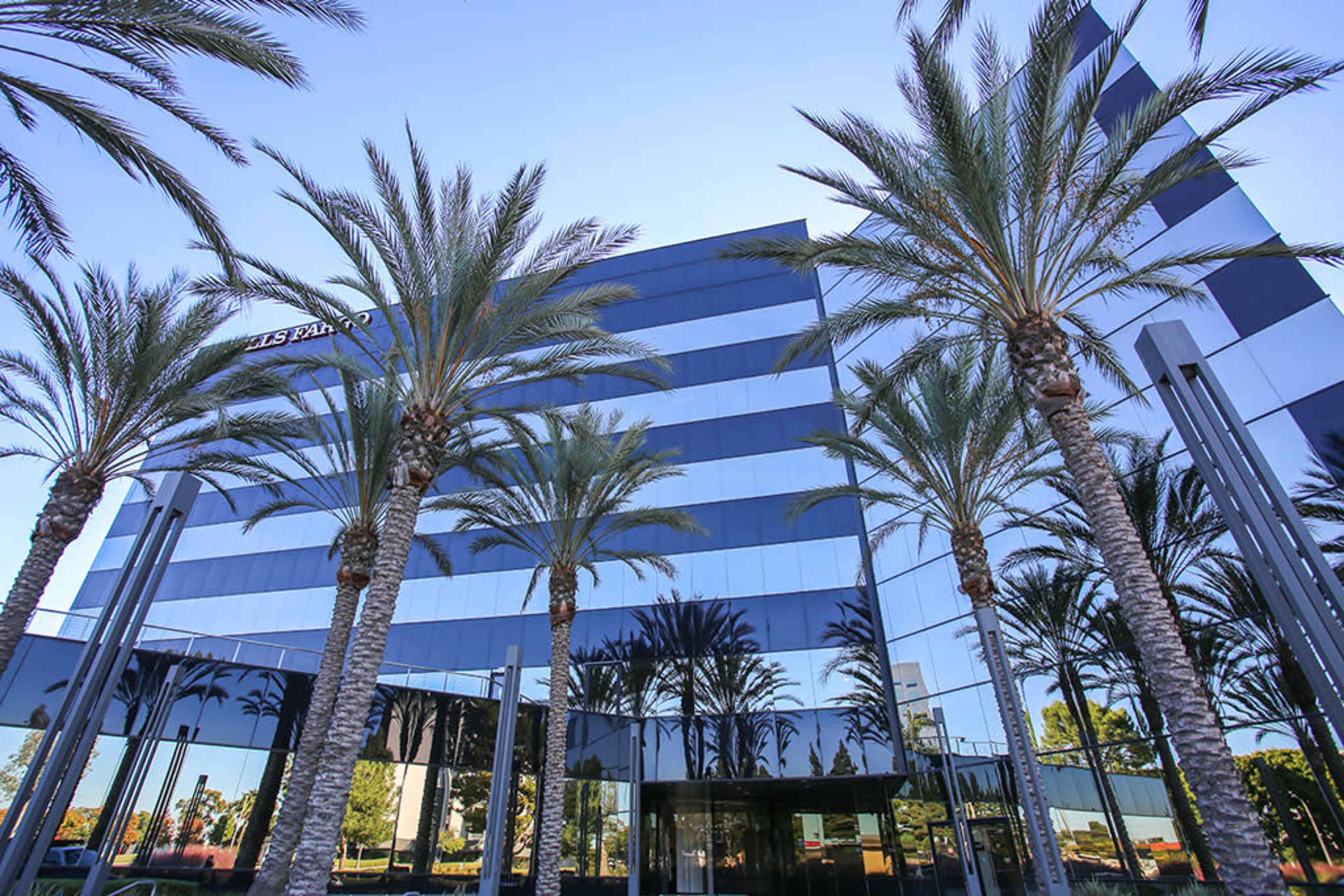 The image shows a modern glass-clad building surrounded by several tall palm trees under a clear blue sky.