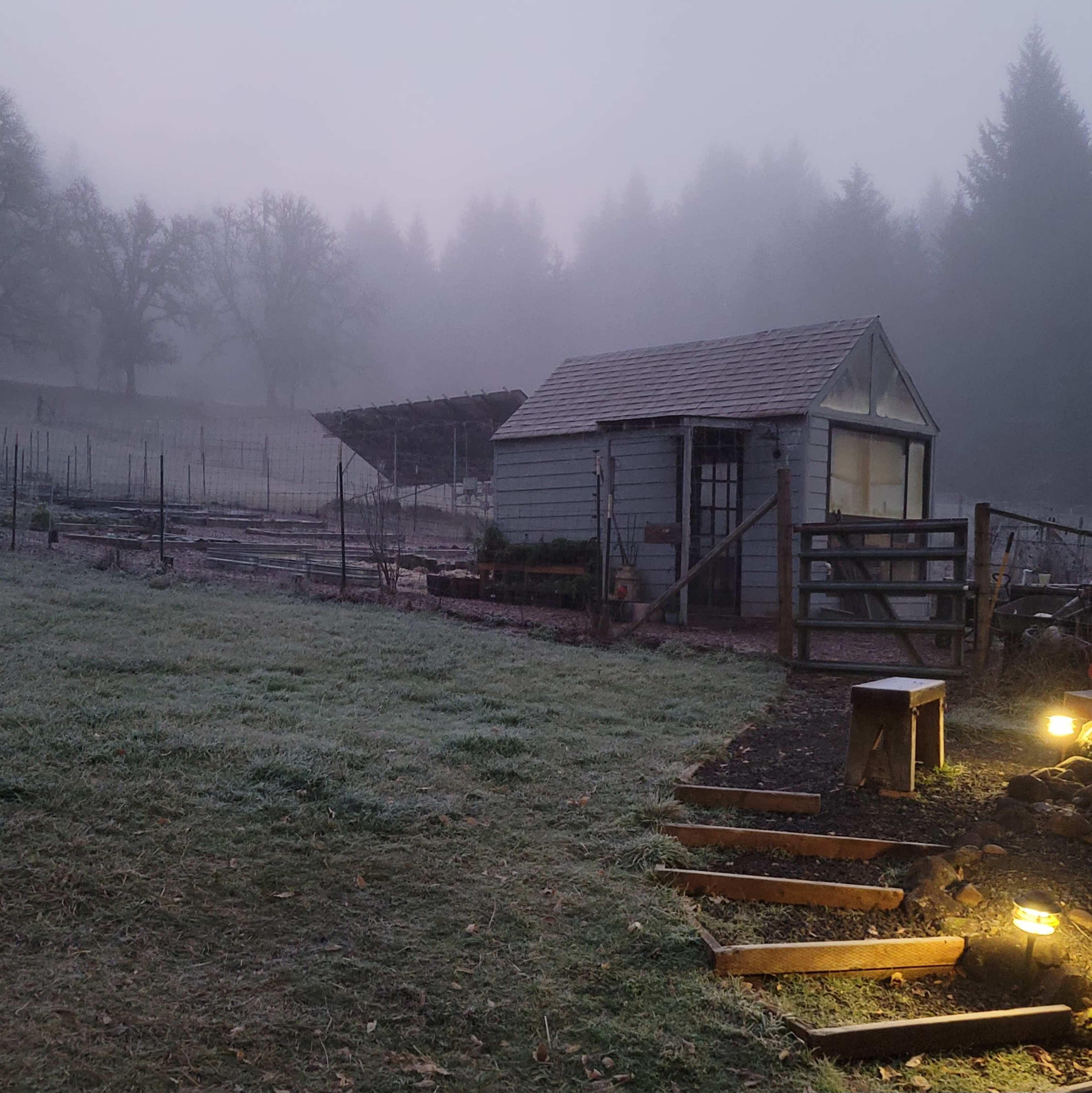 A small shed stands in a misty landscape with fog enveloping the surrounding trees and garden area.