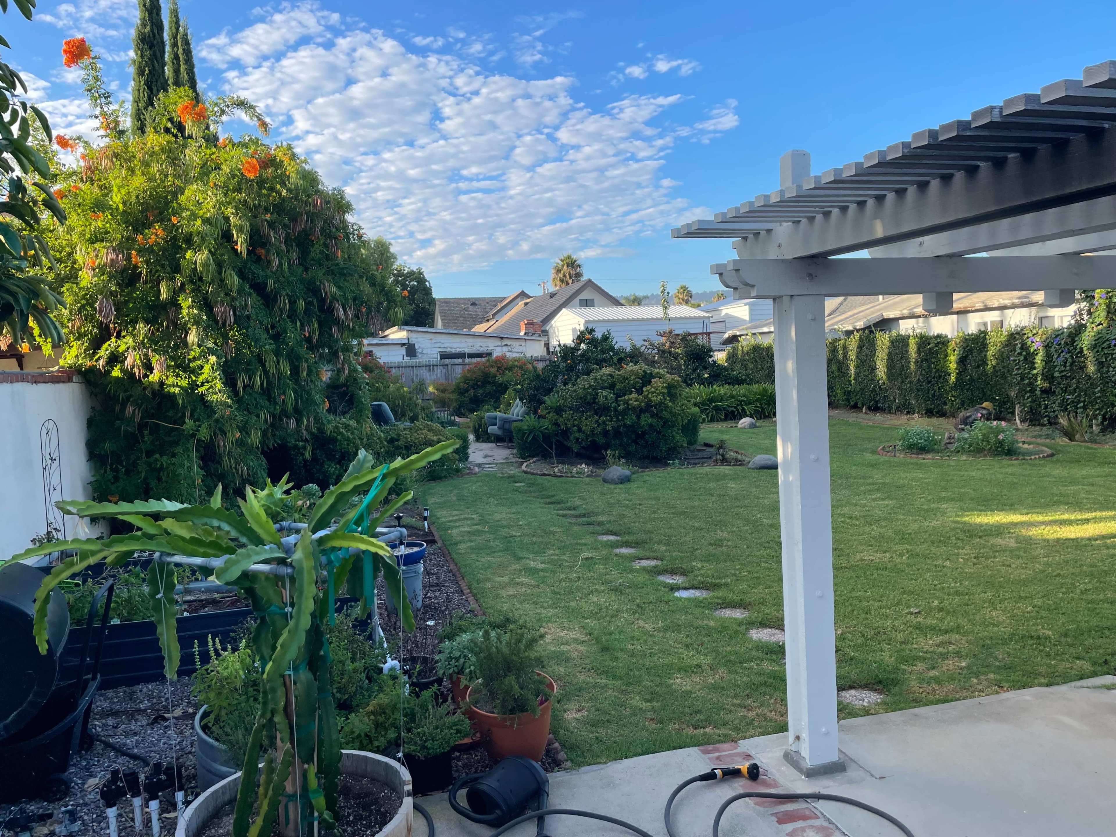 The image shows a landscaped backyard featuring green grass, various plants, and a pergola under a blue sky with scattered clouds.
