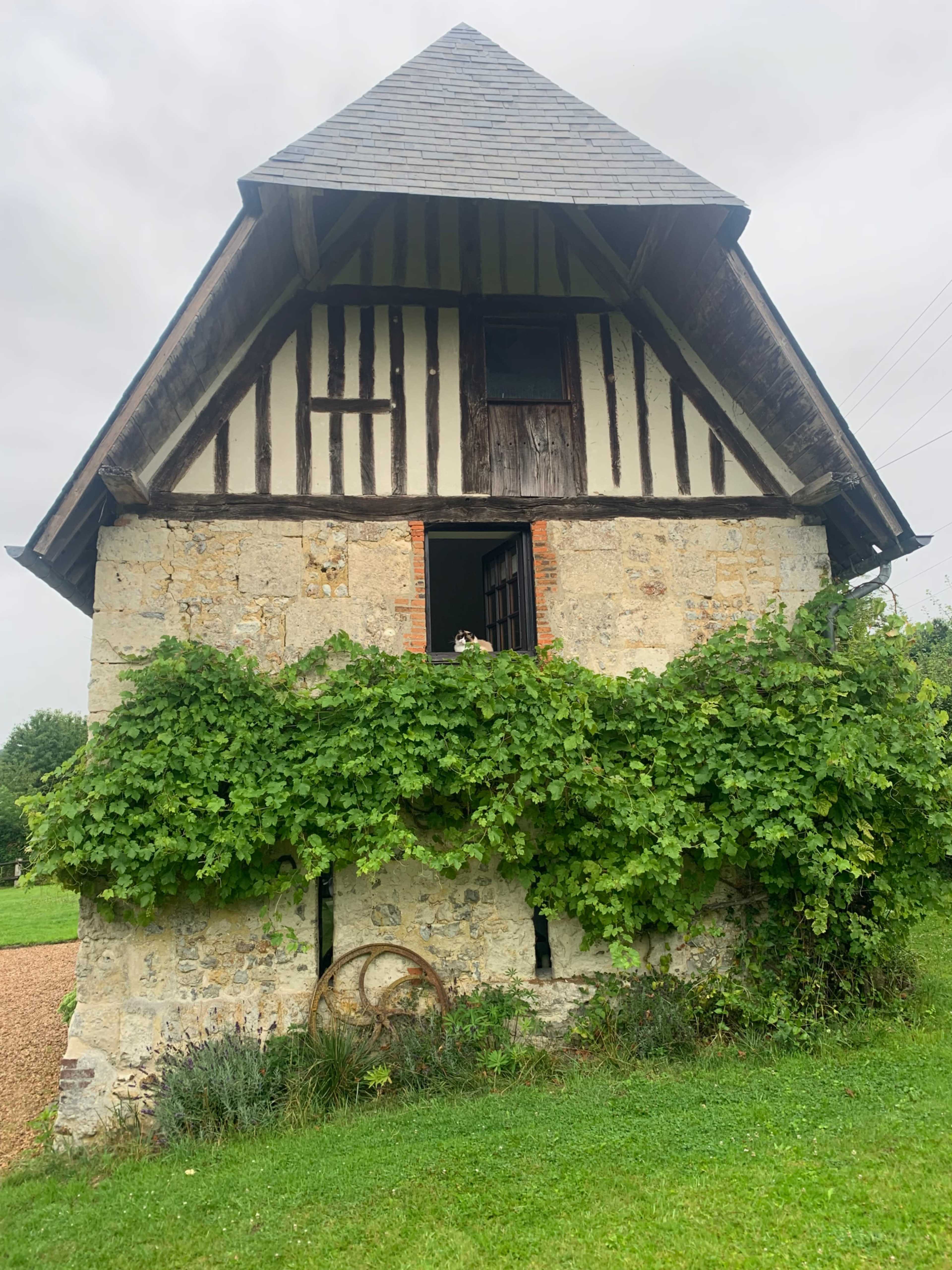 A two-story traditional house with half-timbered walls features a window on the upper floor, surrounded by green vines and set against a cloudy sky.