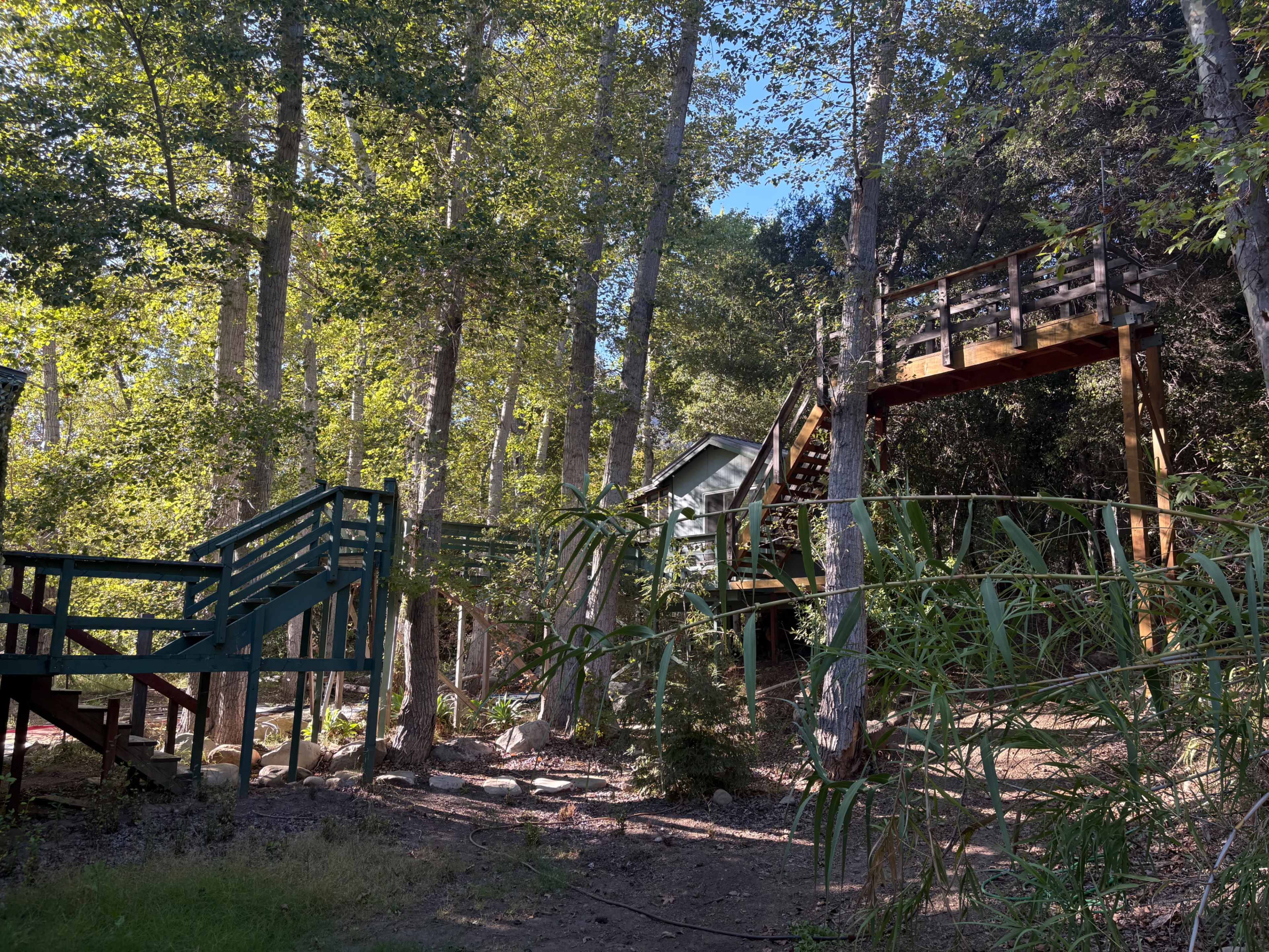 Rustic Forest Hideaway with Untamed Mountain Vibes Image in , Ojai, CA