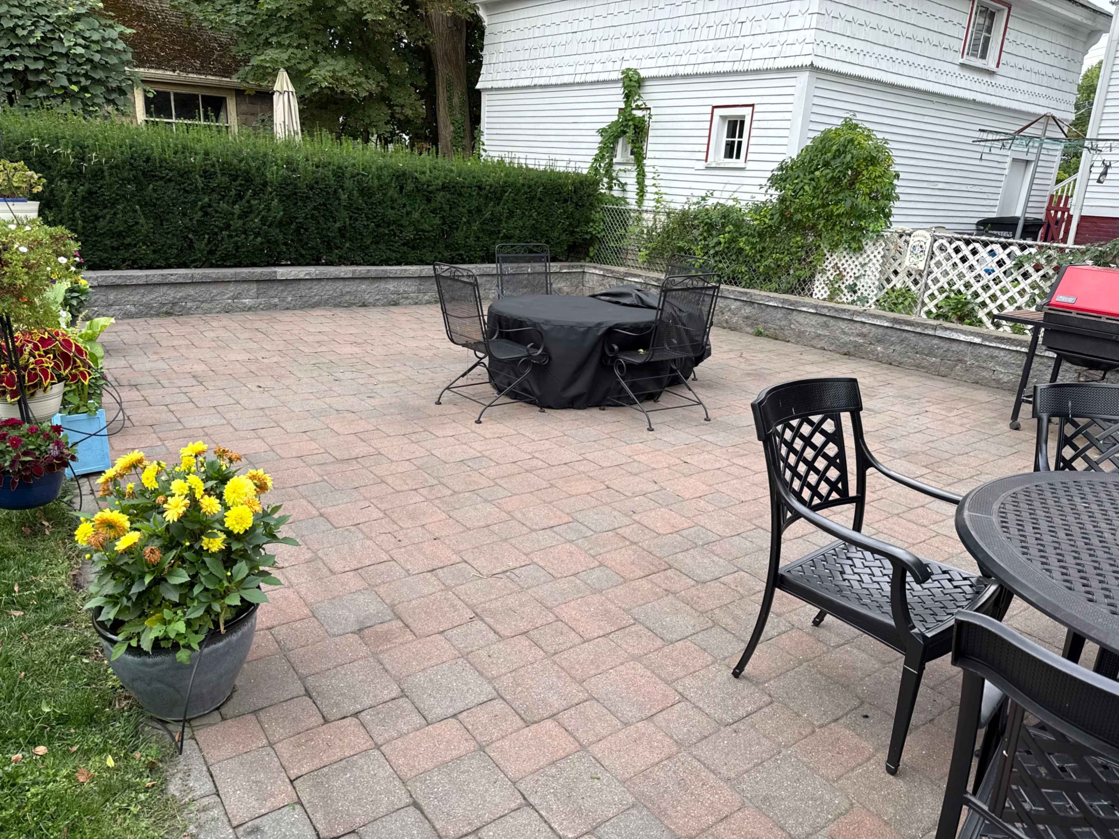 Expansive  Backyard & Patio in the City Image in West Somerville, Somerville, MA