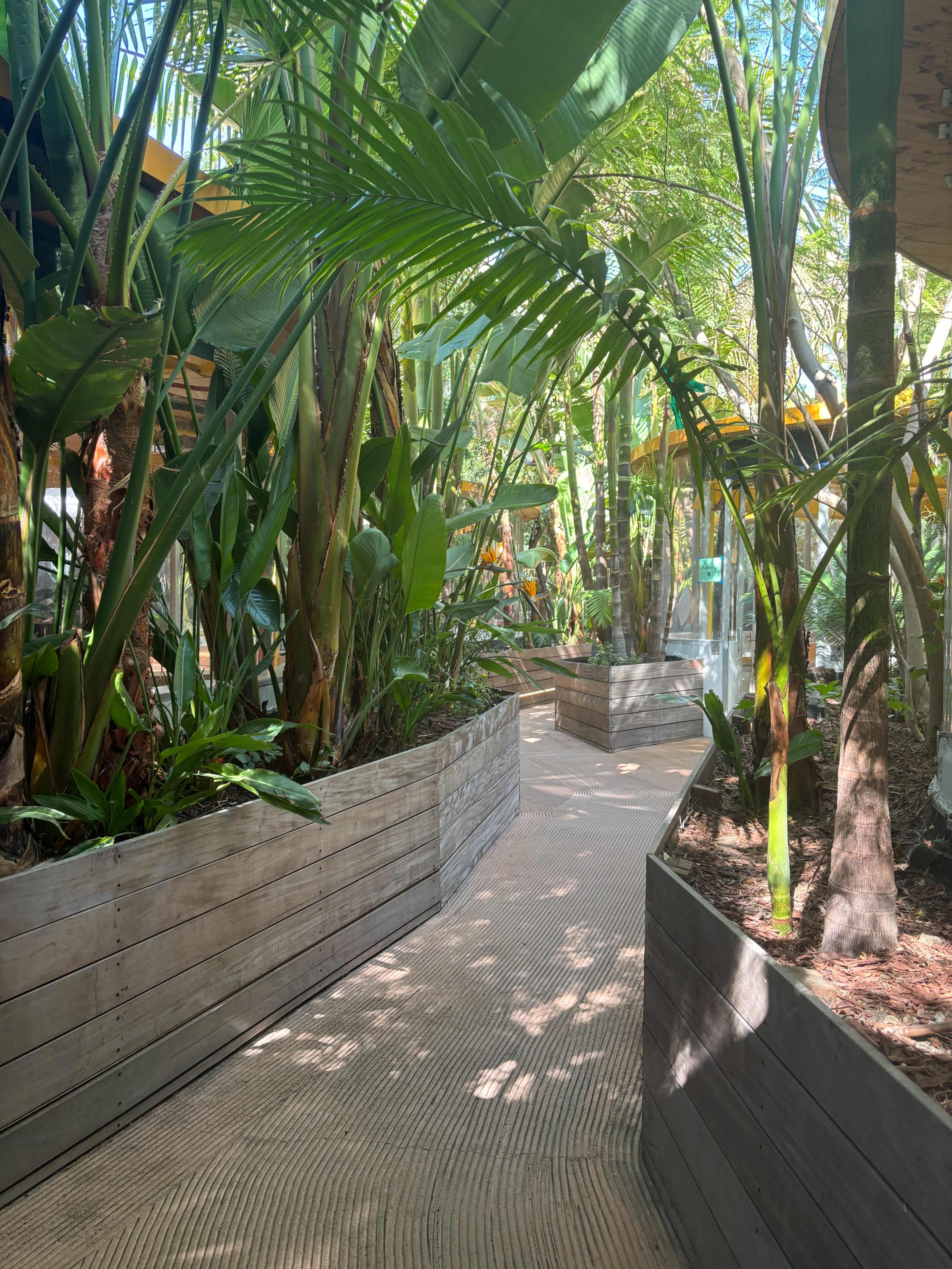 A winding path surrounded by lush greenery and wooden planters runs through a tropical garden.