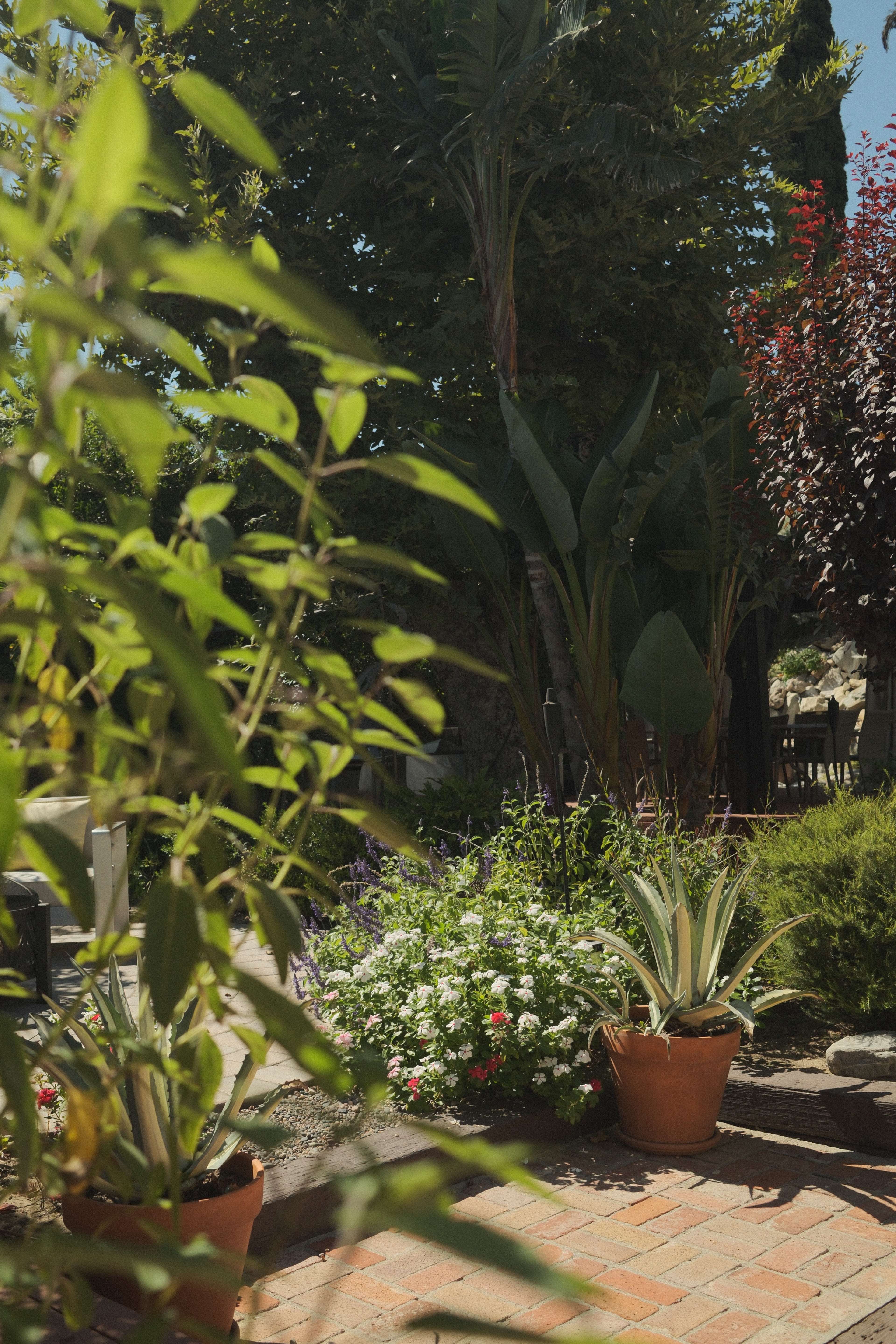 Zen Backyard in the Valley with City Views & Beautiful Landscaping Image in Porter Ranch, Los Angeles, CA