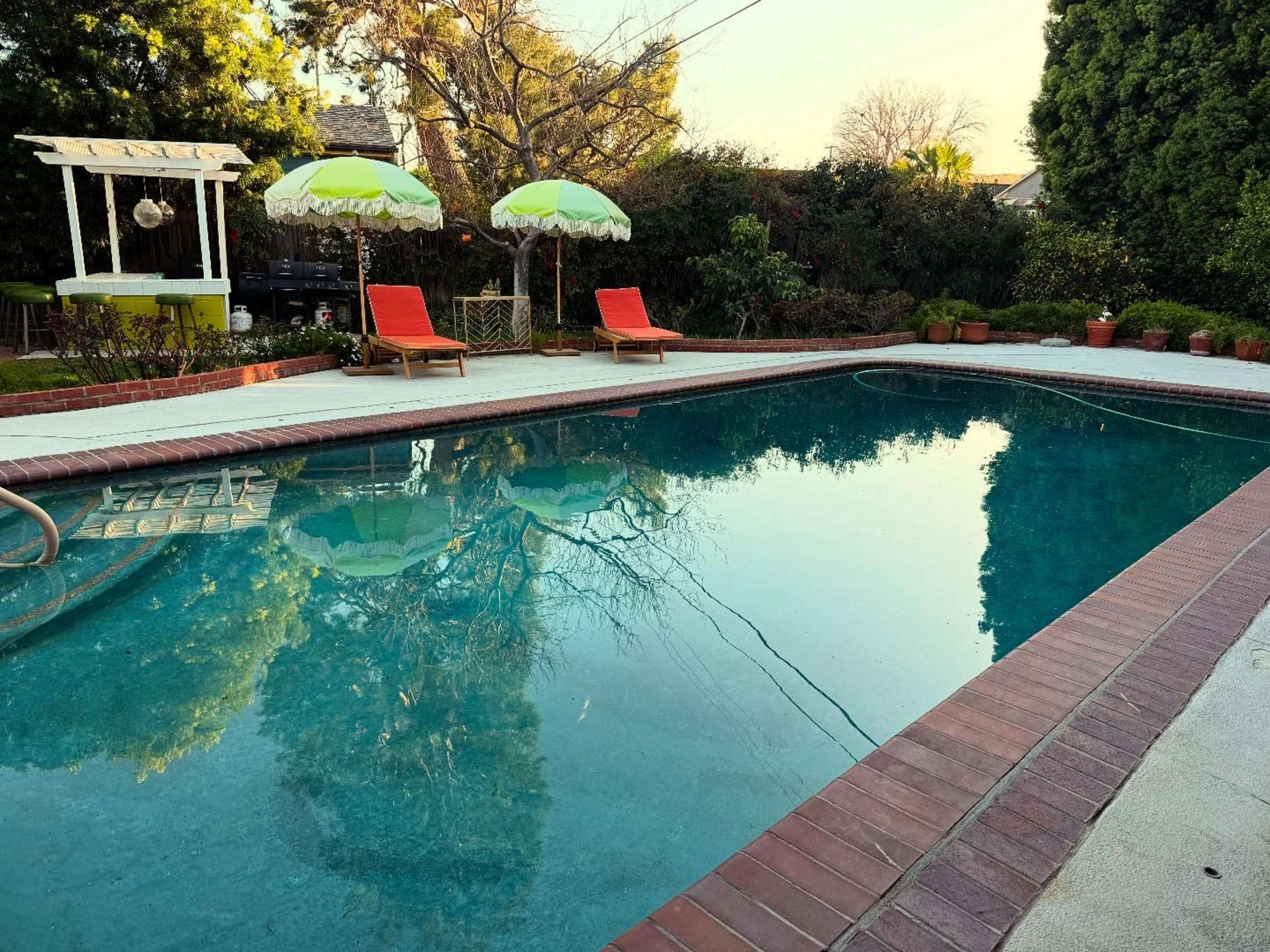 A swimming pool is surrounded by lounge chairs and umbrellas, with lush greenery and trees reflecting in the water.