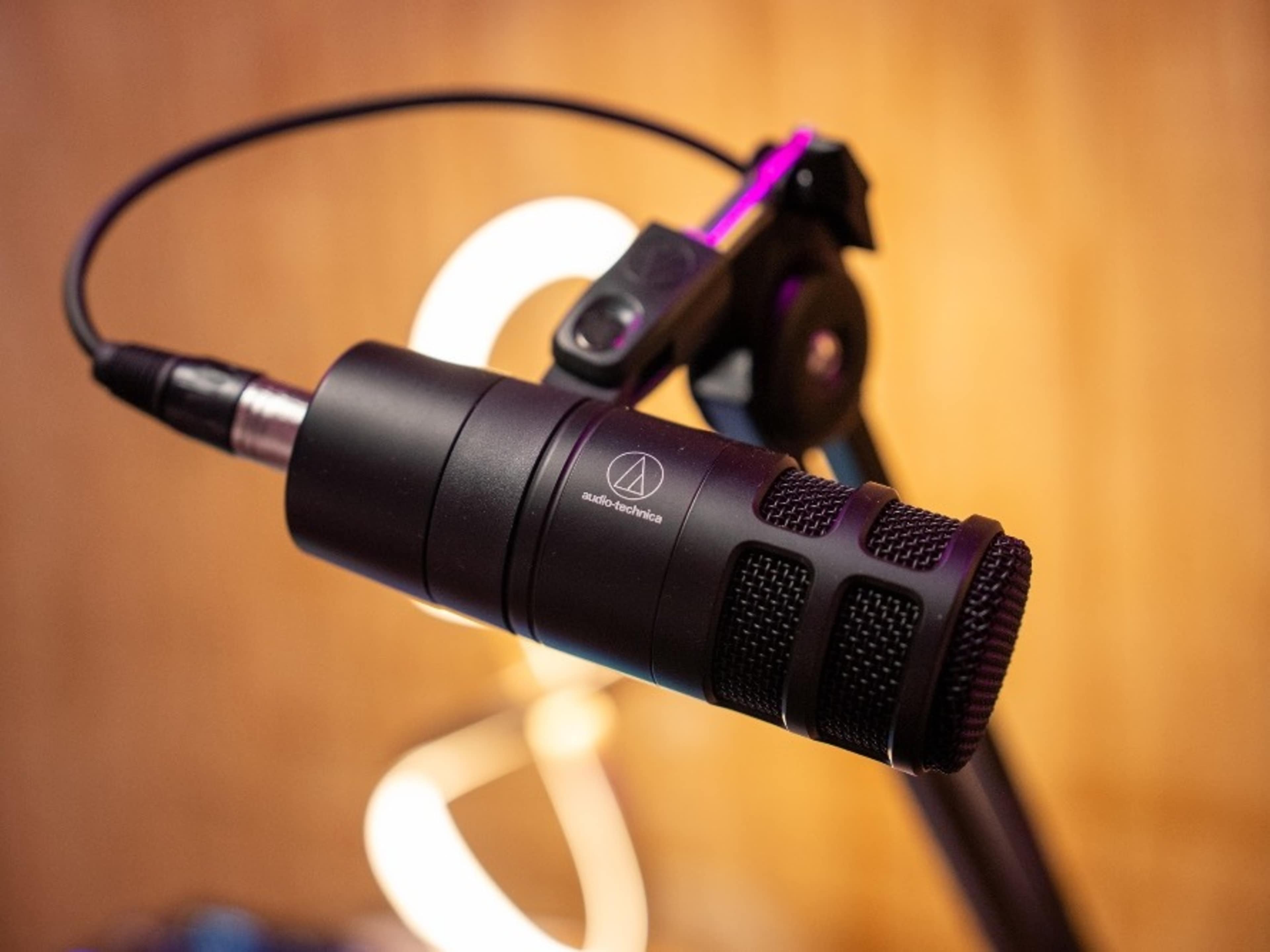 Additional Podcast Microphone 