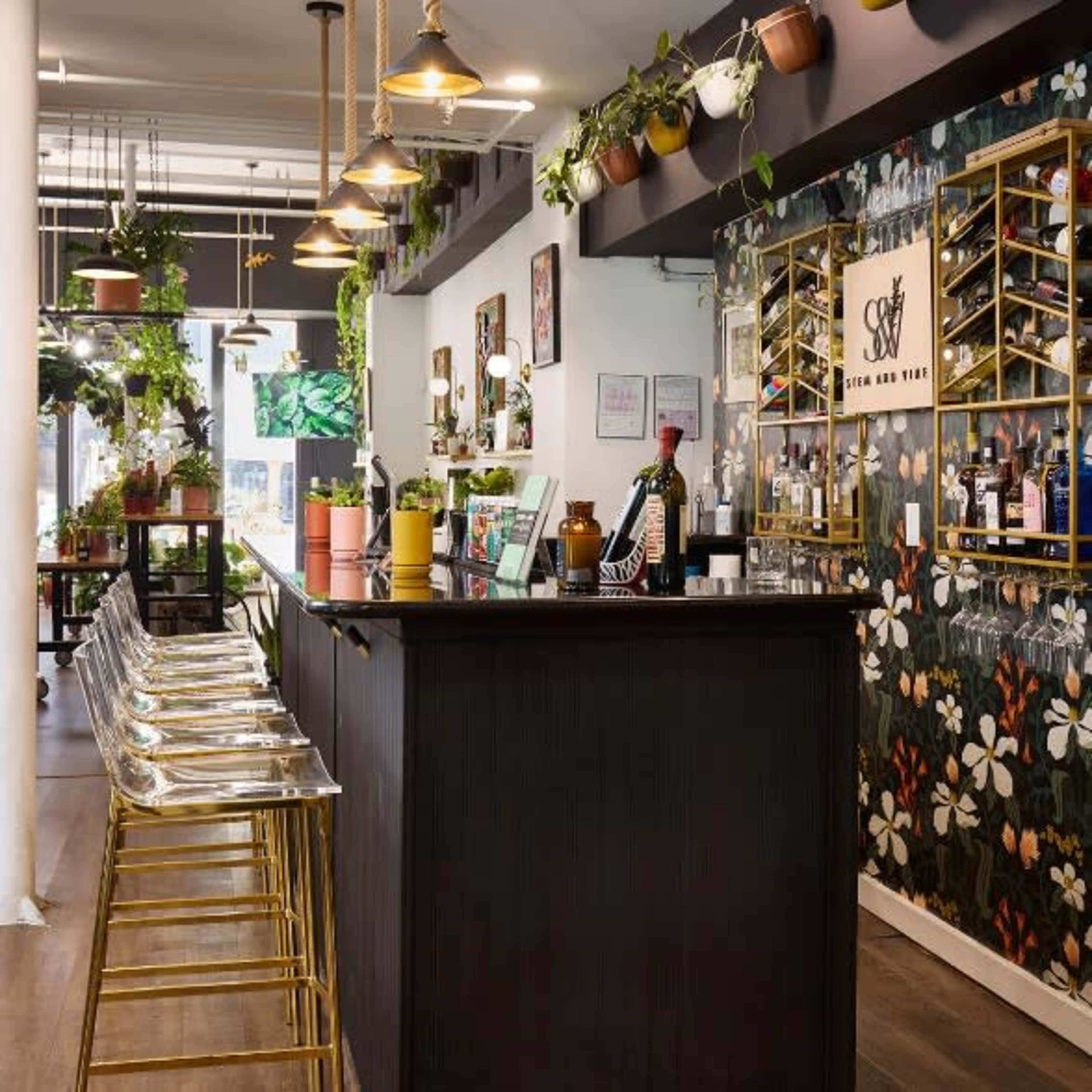 Stem & Vine is a haven for those seeking balance, rejuvenation, and a deeper connection with their well-being. Image in Midtown, Baltimore, MD