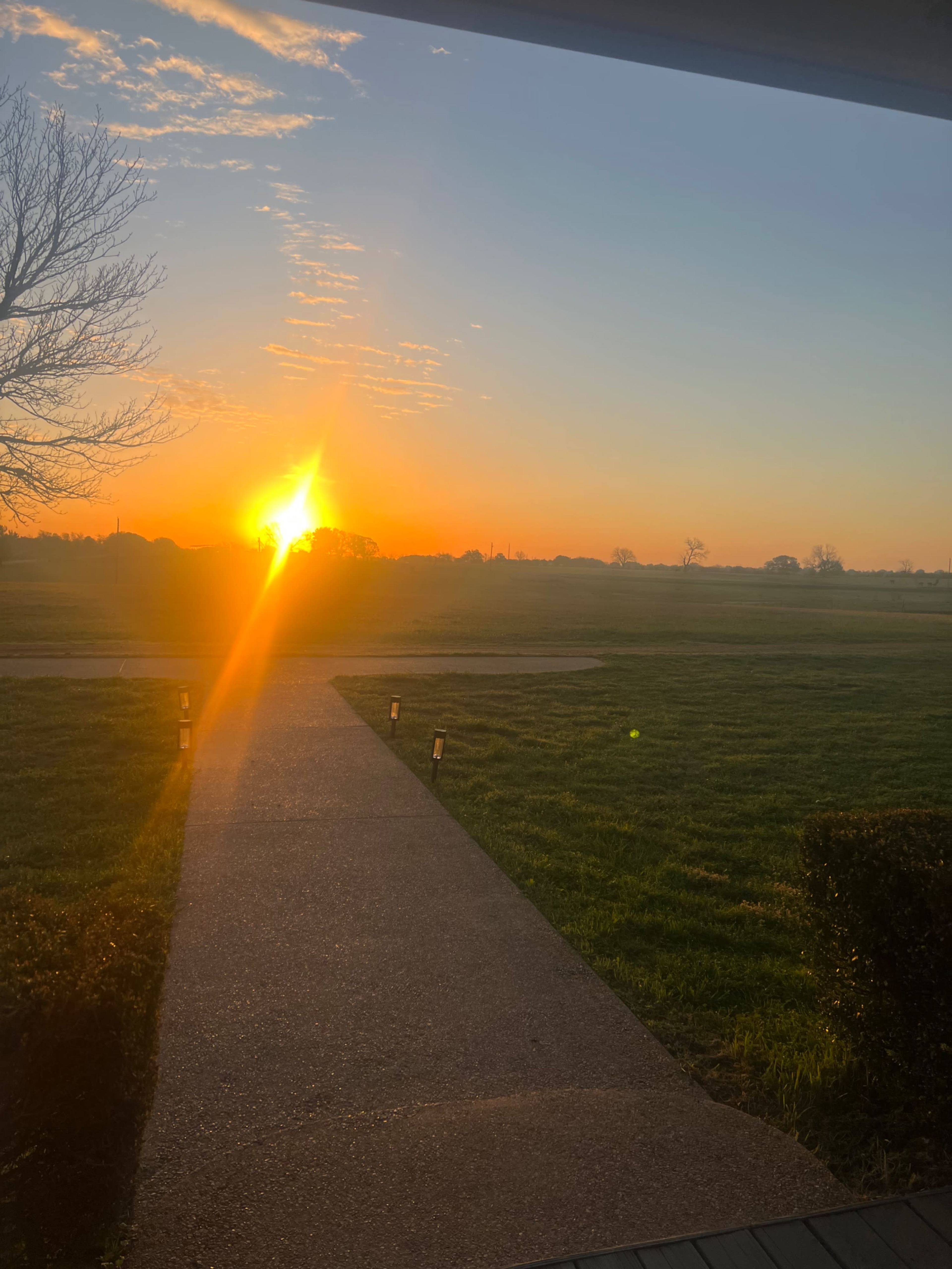 The sun rises over a grassy field, casting a warm glow along a winding path.