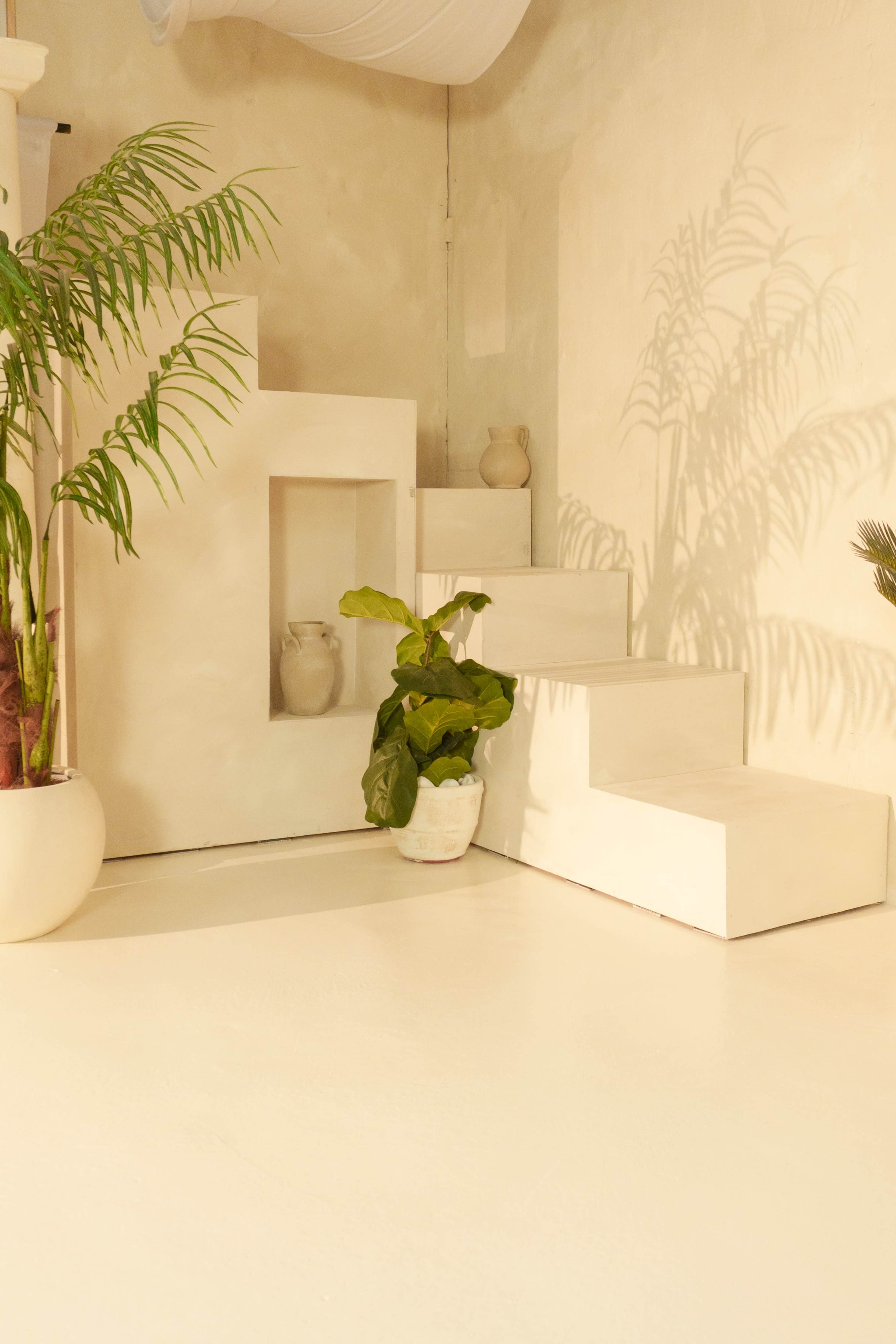 The image shows a minimalist interior space featuring white steps ascending to a small alcove, with a leafy plant and decorative pottery elements.