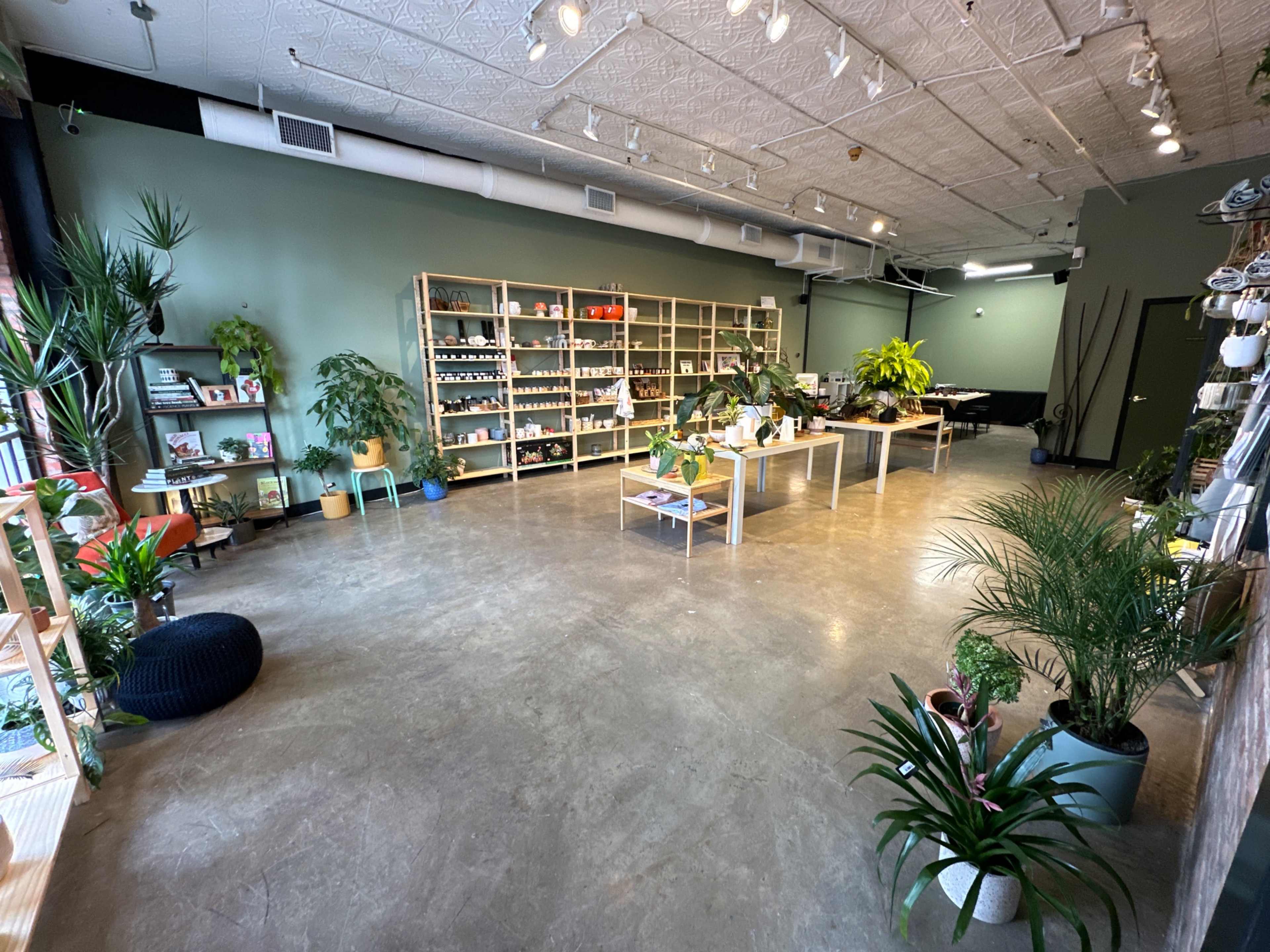 A spacious retail store features wooden shelving filled with plants and products, along with various greenery placed around a polished concrete floor.