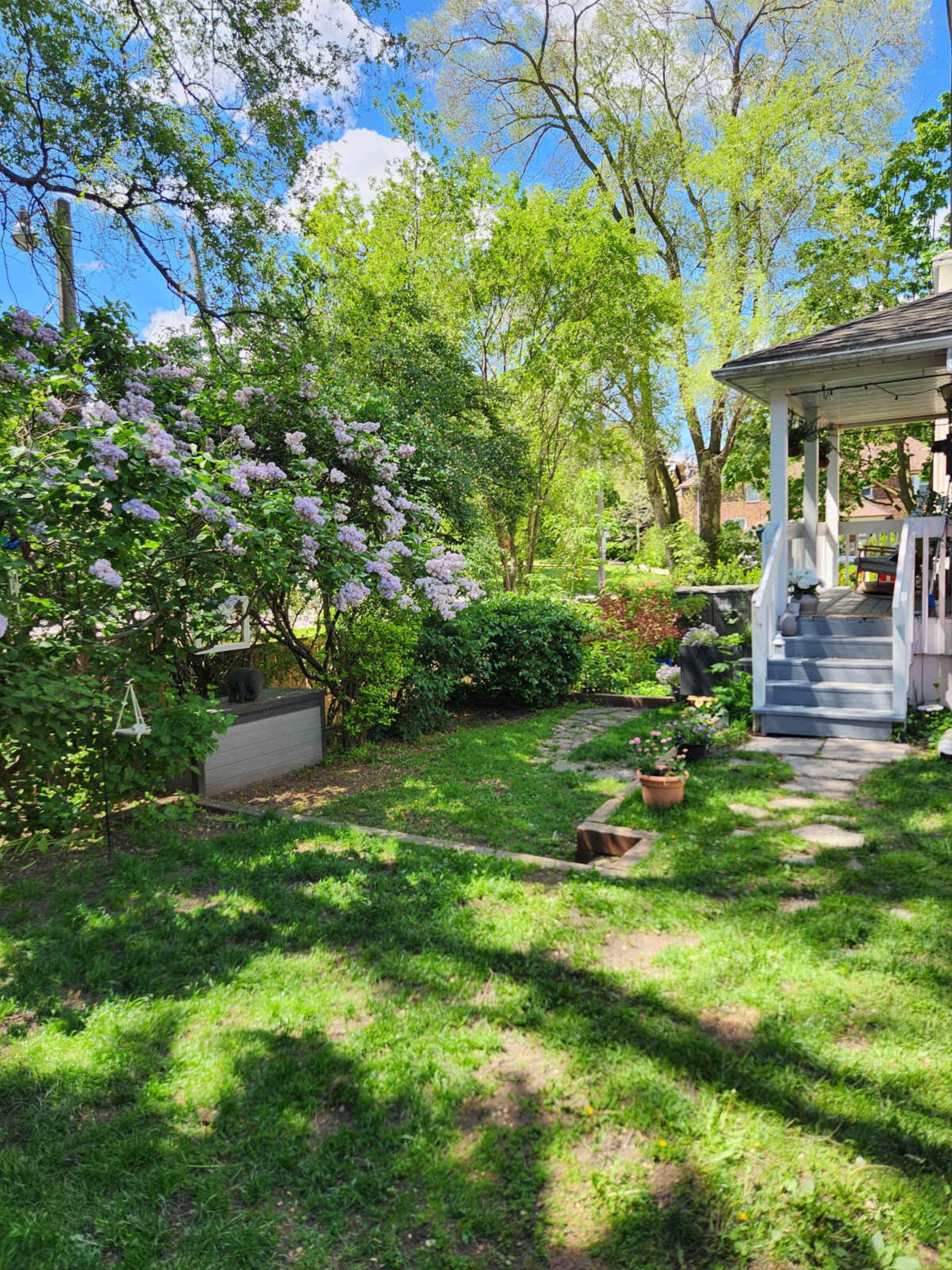 A garden features a lilac bush, green grass, and a wooden porch with steps leading up to a house.