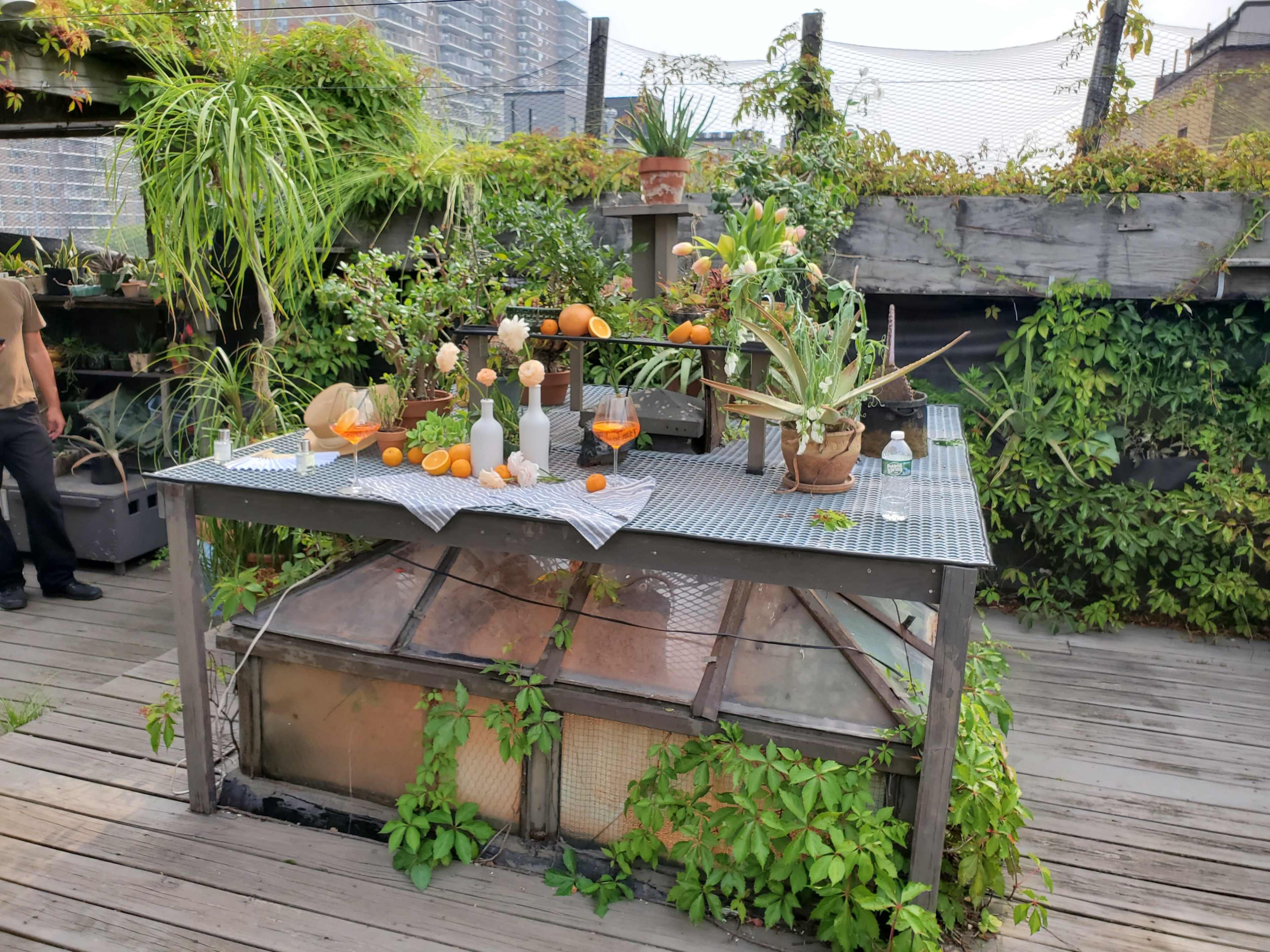 A wooden table covered with vibrant fruits, plants, and decorative items is positioned over a glass greenhouse structure on a rooftop garden surrounded by greenery.