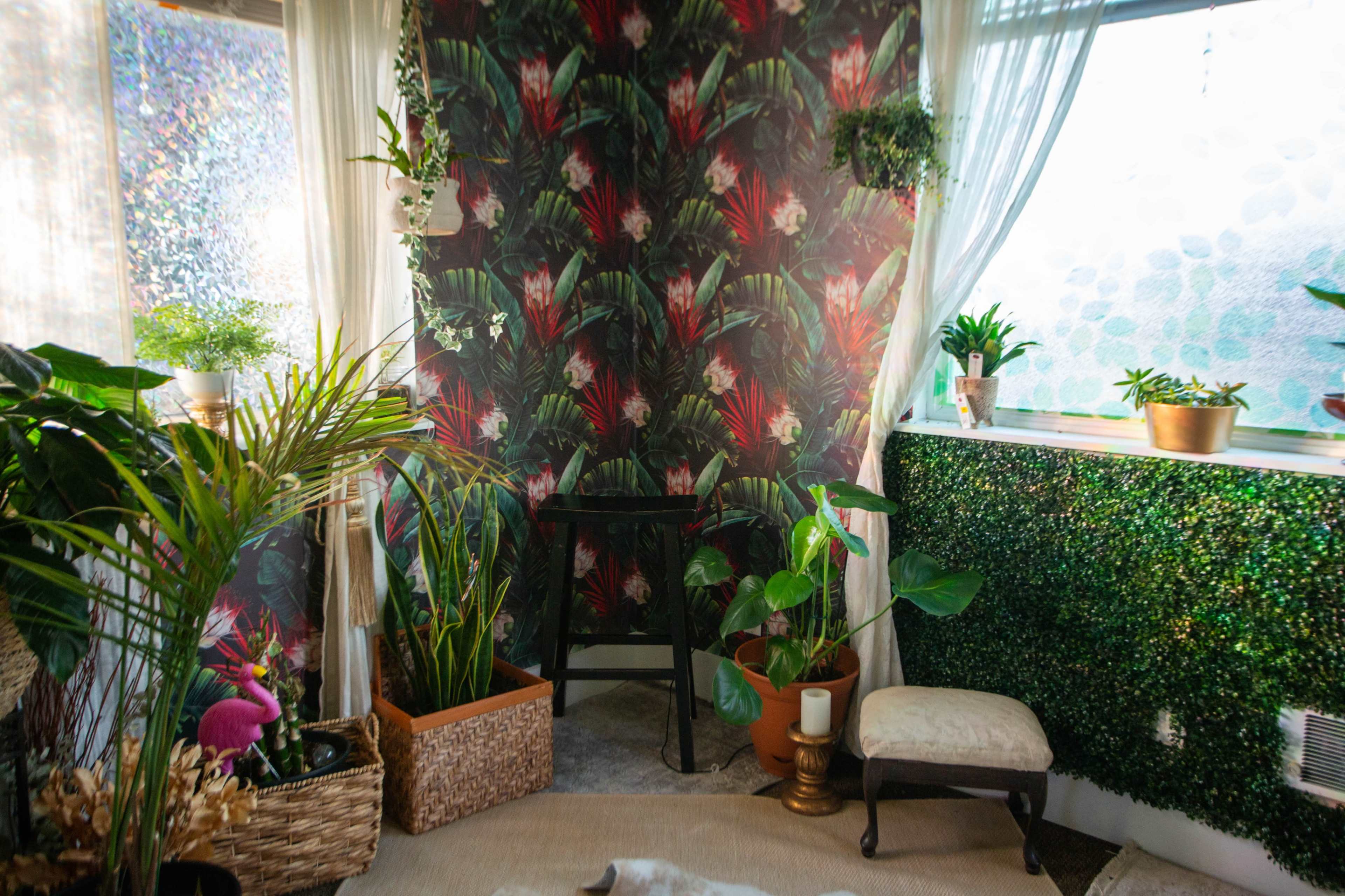 A cozy indoor space adorned with tropical-themed wallpaper, various houseplants in decorative pots, and a chair positioned near a window.
