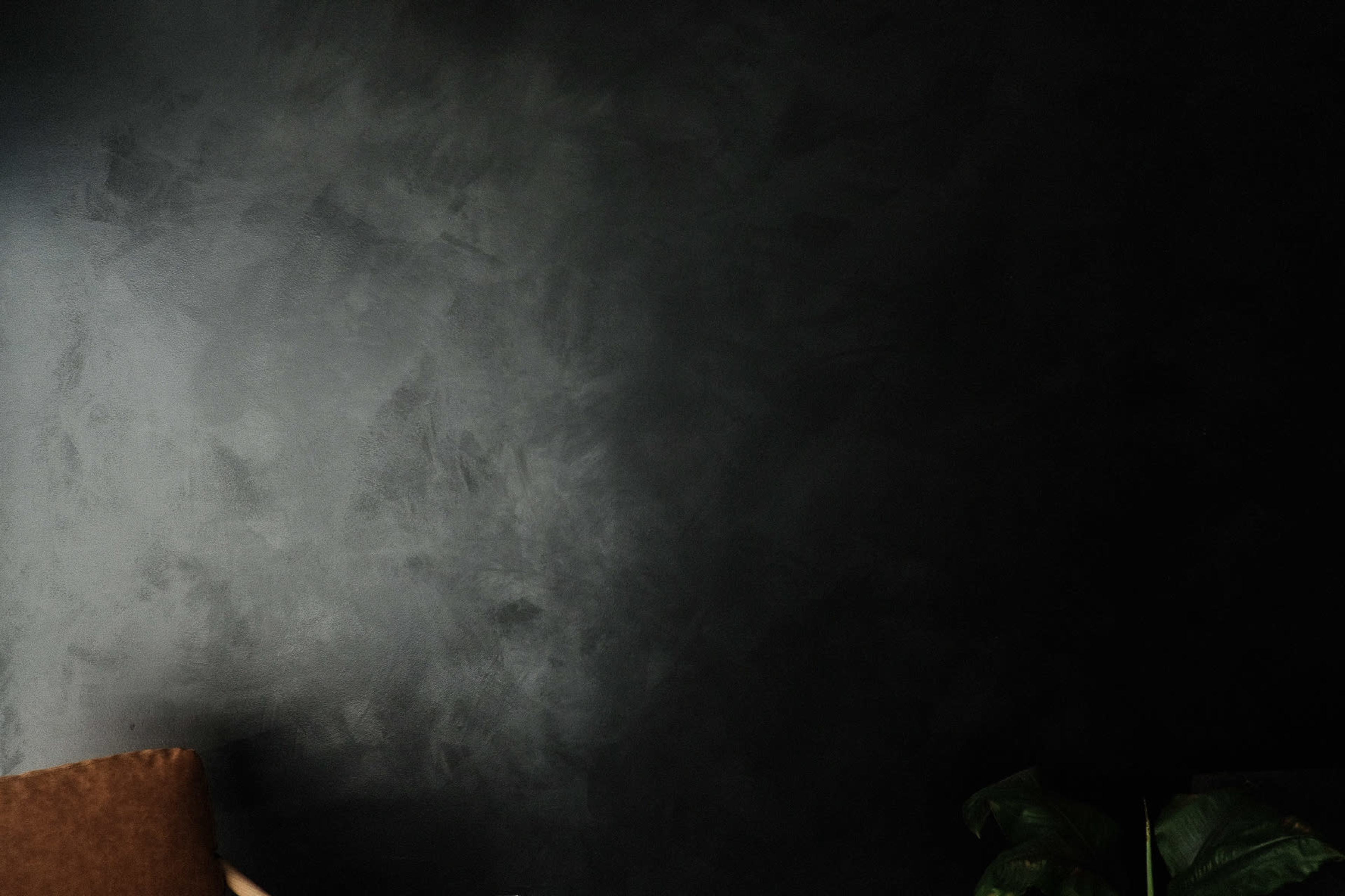 The image features a dark, textured wall with a corner of a brown sofa and a green plant in the lower right.