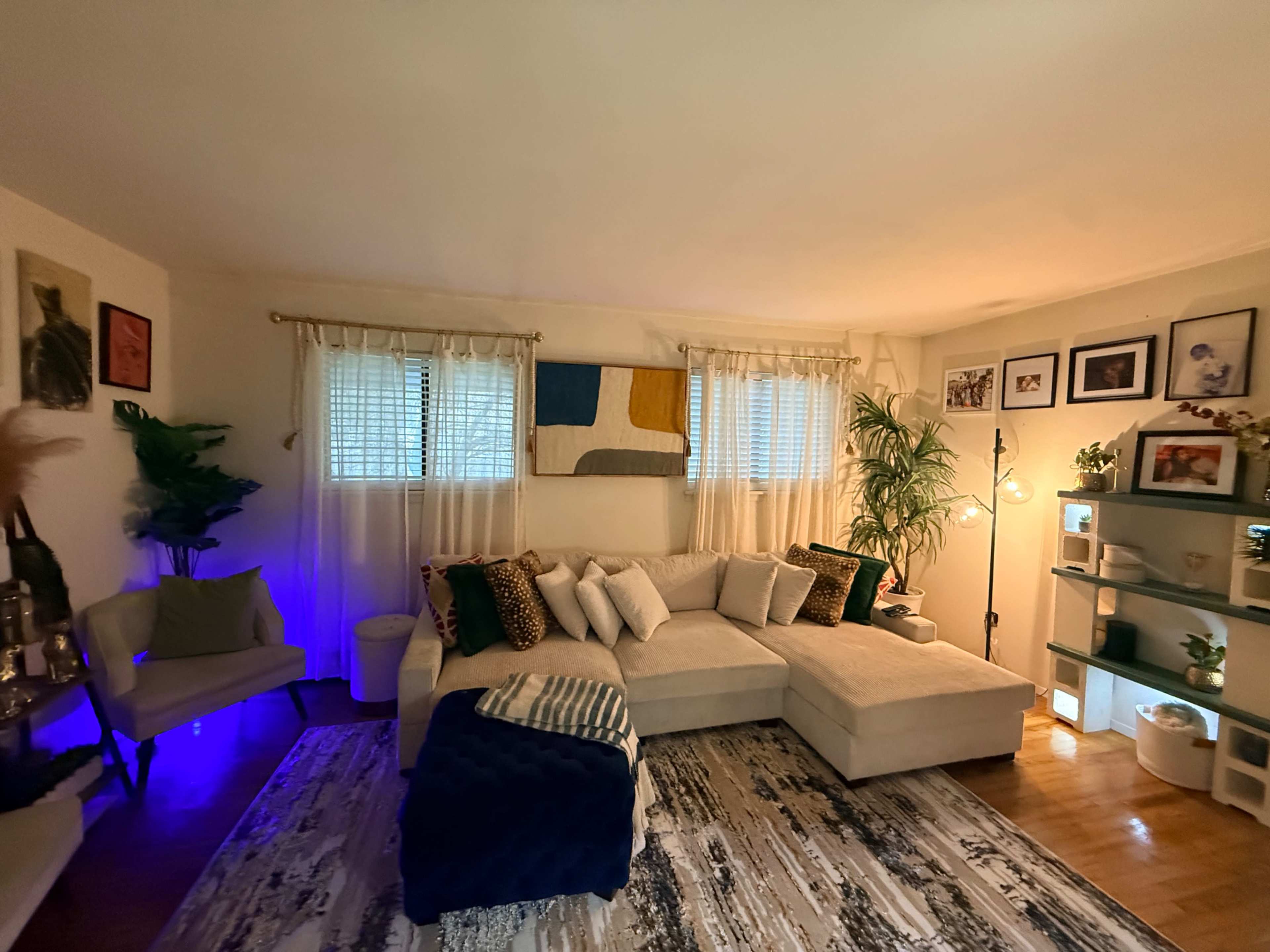 The living room features a large sectional sofa with decorative pillows, a light rug, and a plant next to a shelf displaying framed photos and decor.