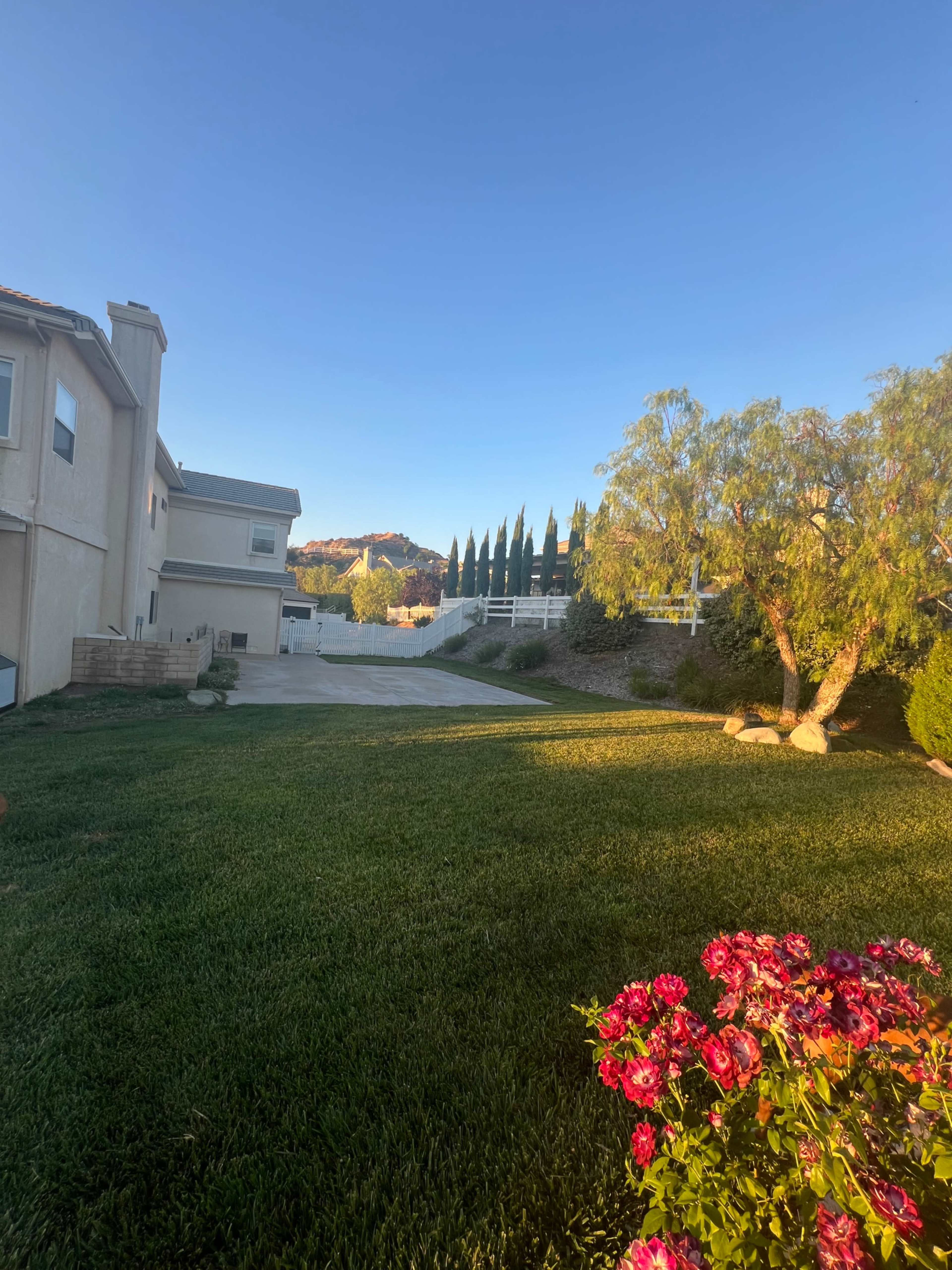 The image shows a residential yard with a green lawn, blooming flowers, a driveway leading towards a mountain, and tall trees lined along a fence.
